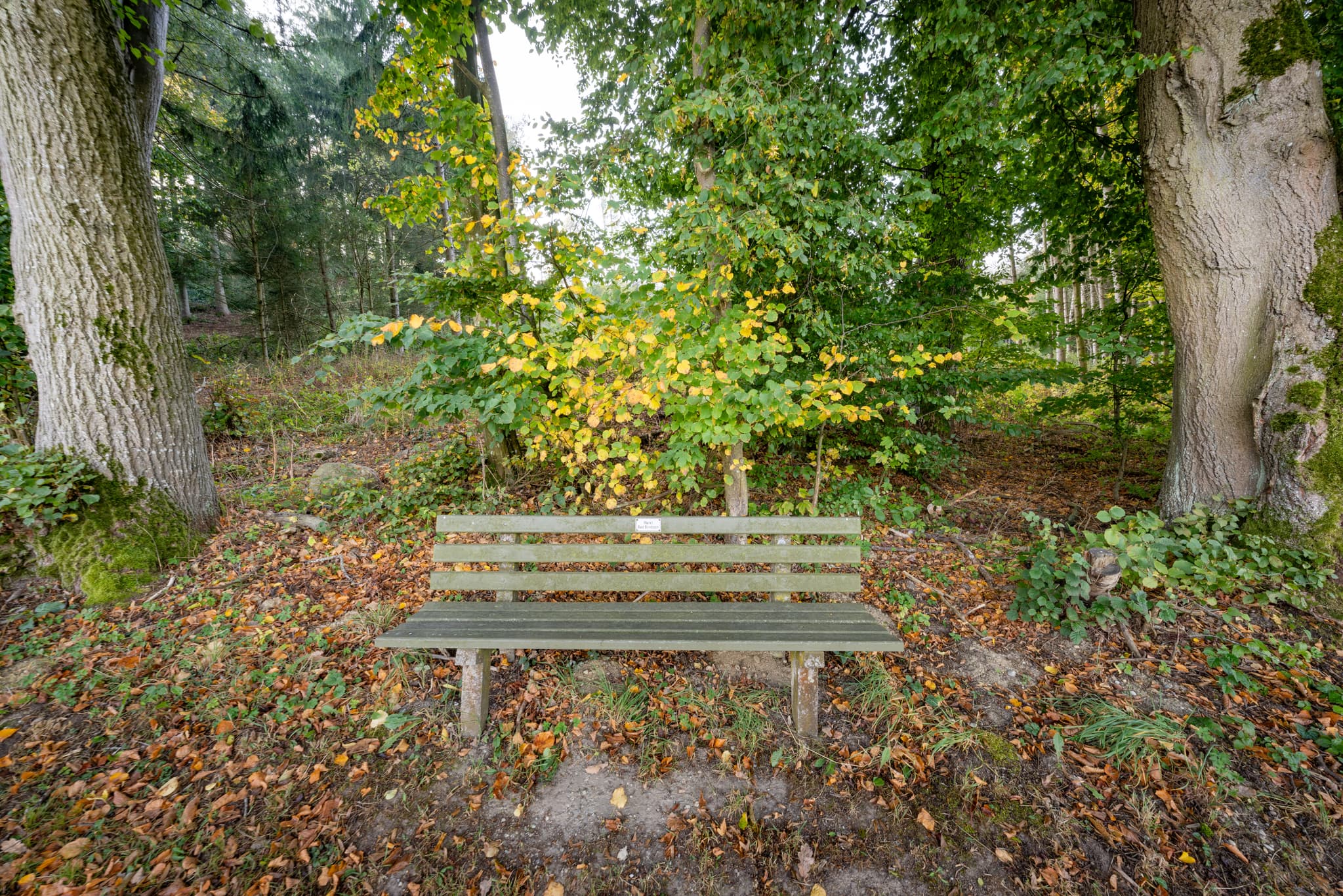 Sitzbank an der Neudeck Aussicht bei Bad Birnbach, Rottal-Inn, Niederbayern. Umgeben von Bäumen und herbstlichem Laub im Bäderdreieck.