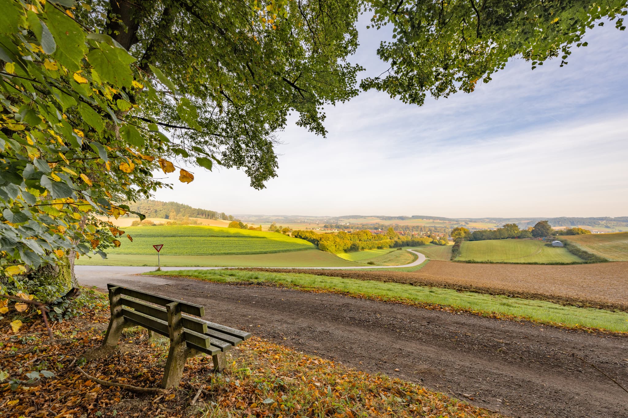 Neudecker Aussicht nahe Bad Birnbach, Rottal-Inn, Niederbayern. Eine Holzbank unter Baum am Wegrand bietet weiten Blick über Felder und Hügel im Bäderdrieck.
