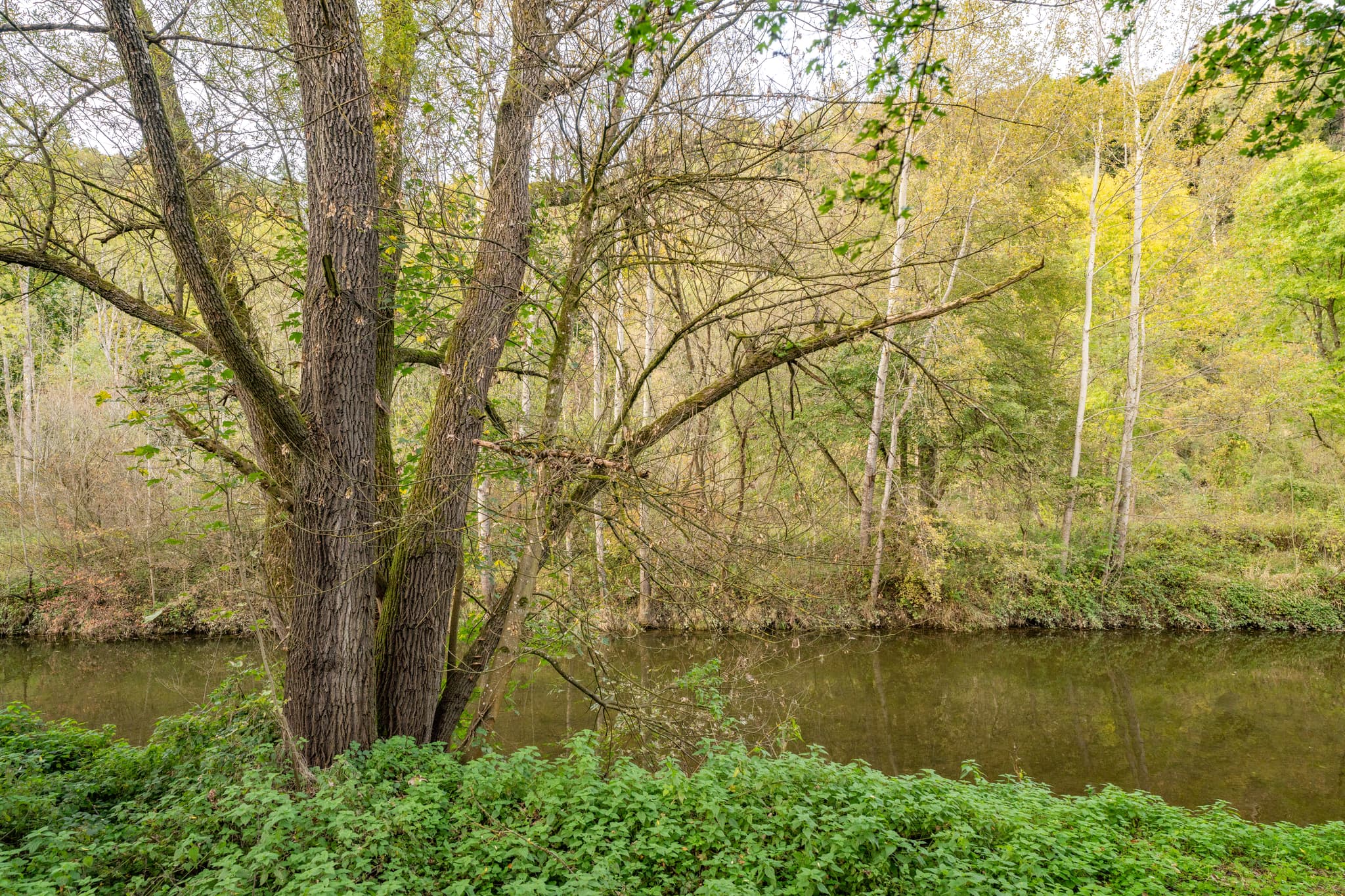 Flusslandschaft Isen, Winhöring, Altötting, Oberbayern. Region Inn-Salzach, Deutschland. Ruhiges Ufer, Bäume, dichte Pflanzen, hügelige Kulisse. Naturaufnahme.