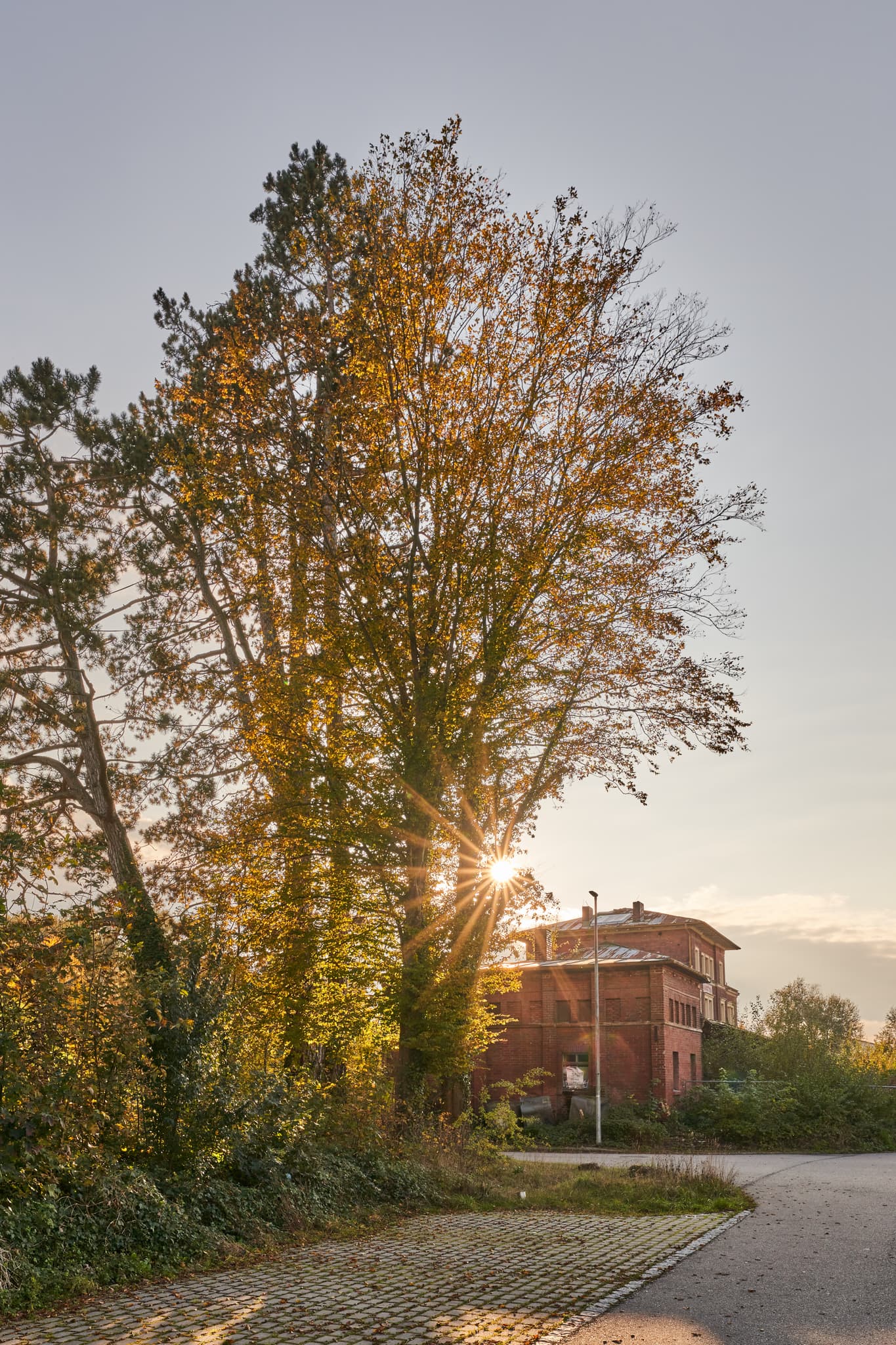 Herbstliche Bäume und Backsteingebäude am Bahnhof Eisenfelden-Neuötting, Winhöring. Landkreis Altötting, Inn-Salzach Region, Oberbayern, Deutschland.