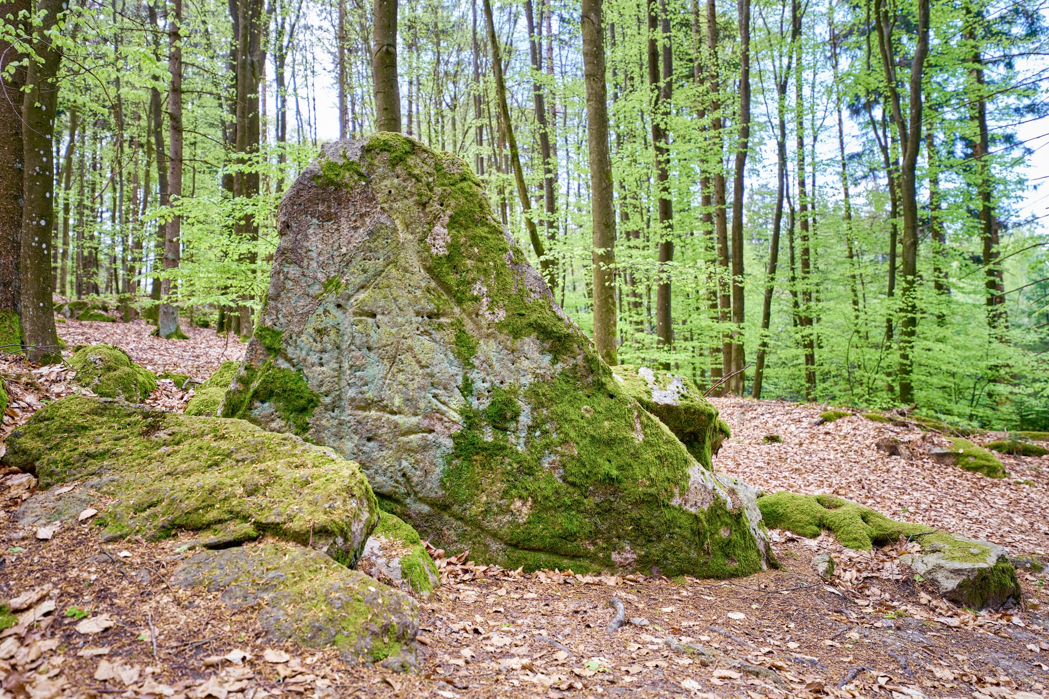 Bild zeigt einen Kultstein im Wald bei St. Salvator, Bad Griesbach, Passau, Niederbayern, Bayern, Deutschland. Der Kultschein ist ein bewachsener Felsen.