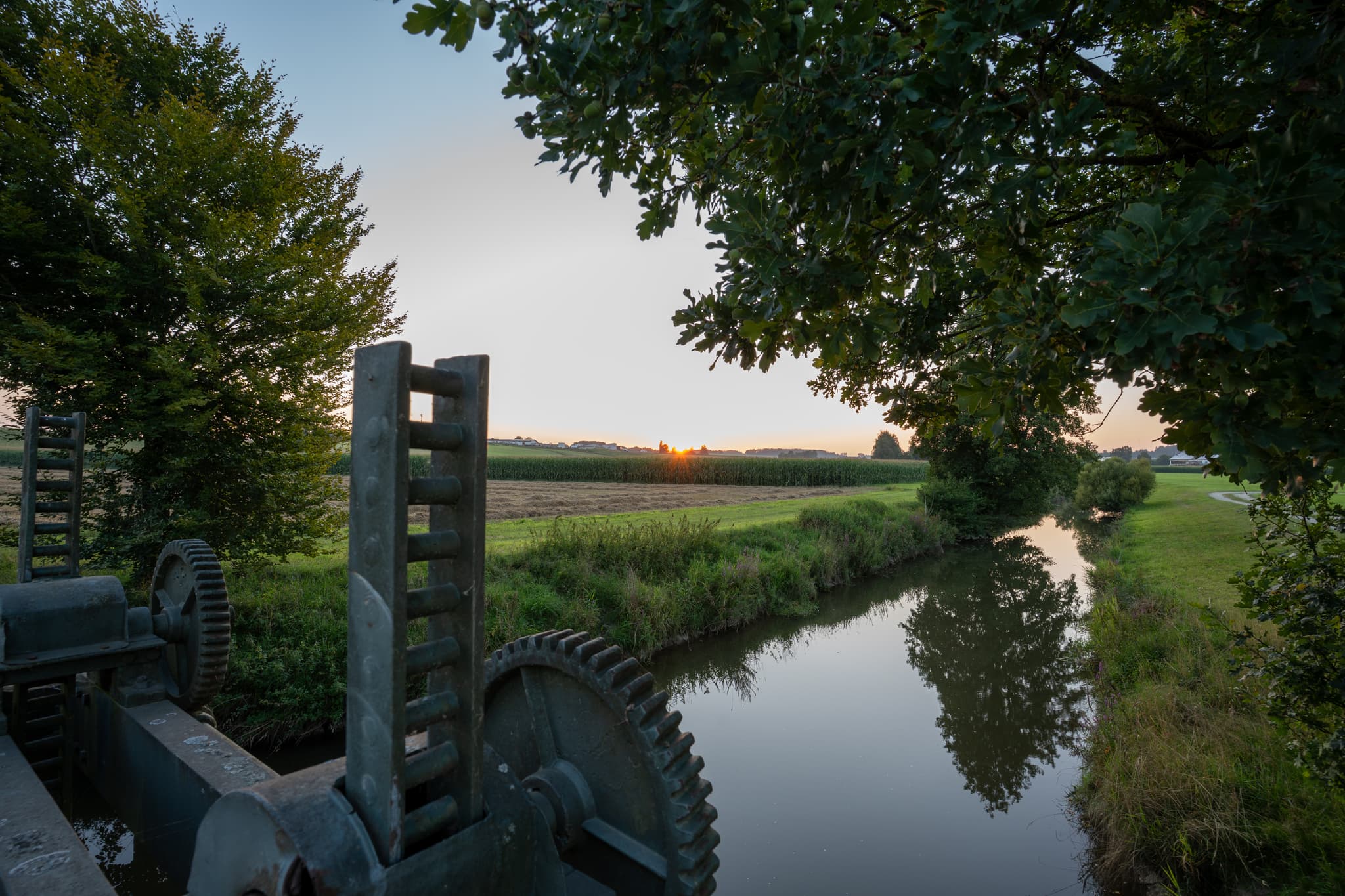 Ruhige Abendstimmung an einem Kanal bei Massing.  Die untergehende Sonne beleuchtet sanft die grüne Landschaft Warme, natürliche Farben dominieren das Bild.