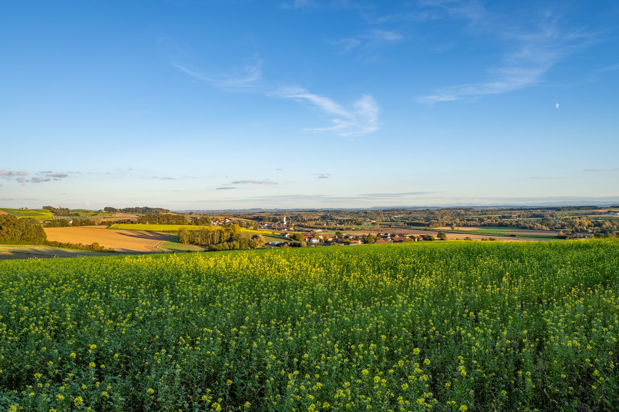Panoramablick am Kurpark Bad Griesbach im Rottaler Bäderdreieck. Malerische Landschaft in Niederbayern, Deutschland, mit Feldern und Horizont.