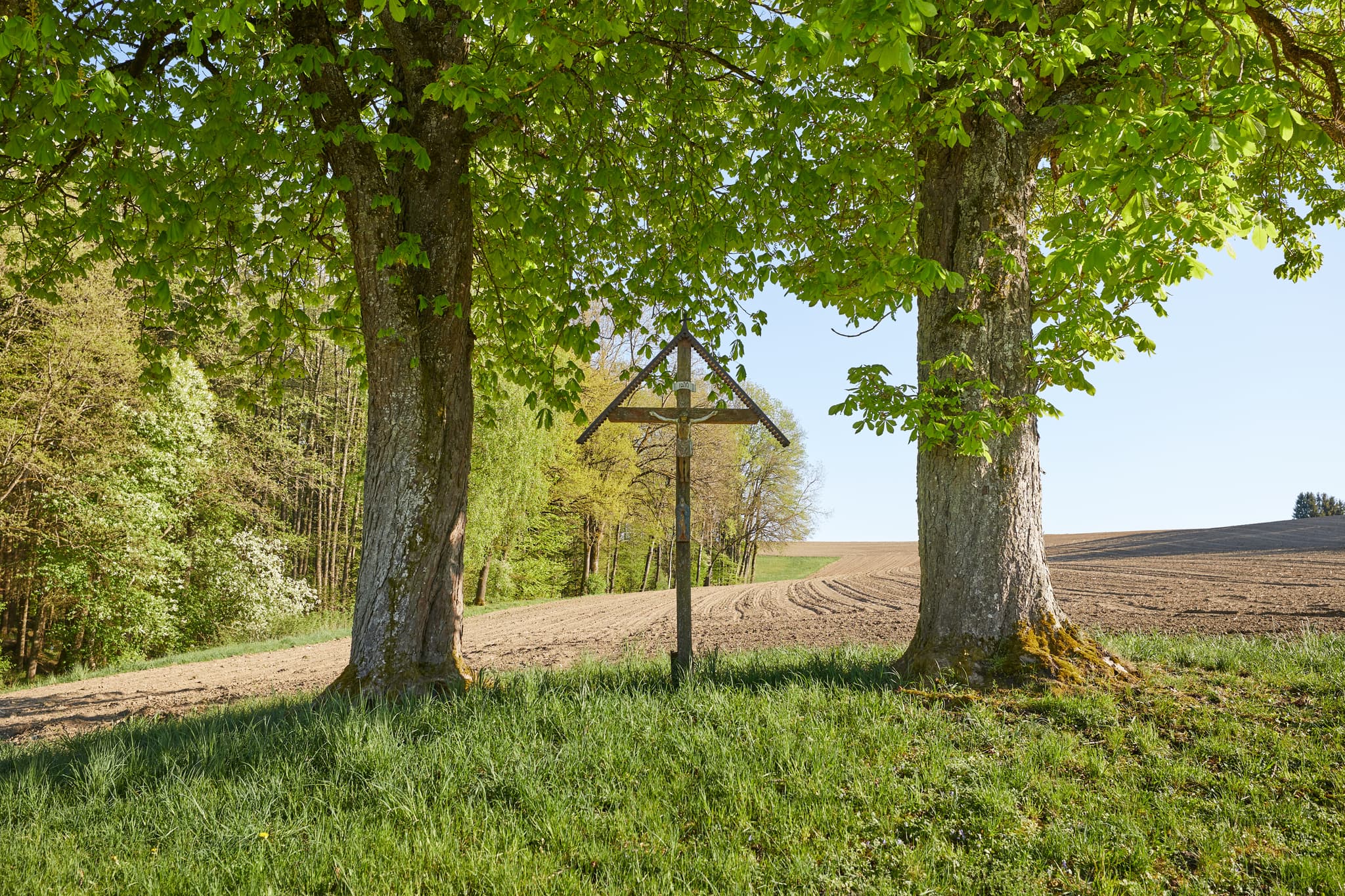 Feldkreuz in Sigrün, Pleiskirchen, Landkreis Altötting, Oberbayern, Inn-Salzach, Bayern, Deutschland. Holzkreuz inmitten einer ländlichen Landschaft.