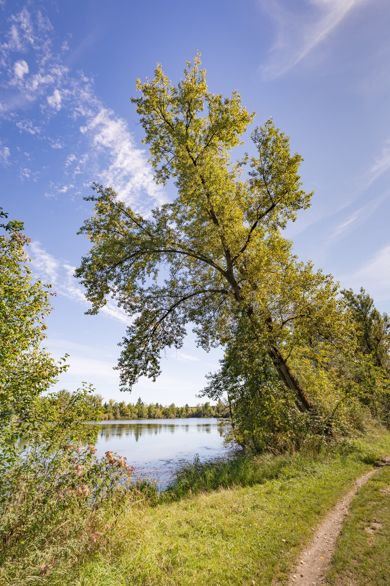 Malerischer Waldsee Lago Sommer bei Kirchdorf am Inn, Landkreis Rottal-Inn, Niederbayern. Idyllischer Badesee Simbach in der Naturregion Holzland, Deutschland.