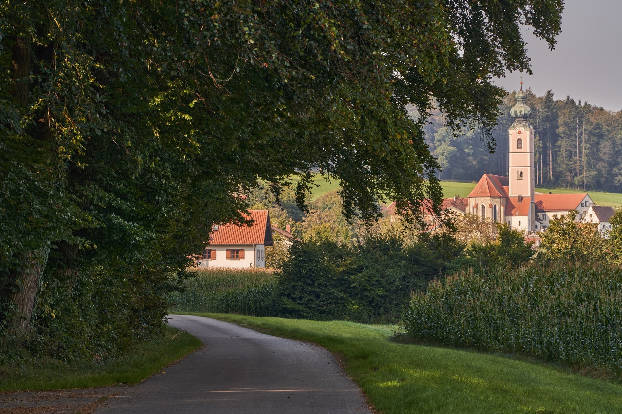 Weg führt durch Felder zu Badhöring Pilgerweg in Mehring, Landkreis Altötting. Dorfkirche prägt die Landschaft der Region Inn-Salzach, Oberbayern, Deutschland.