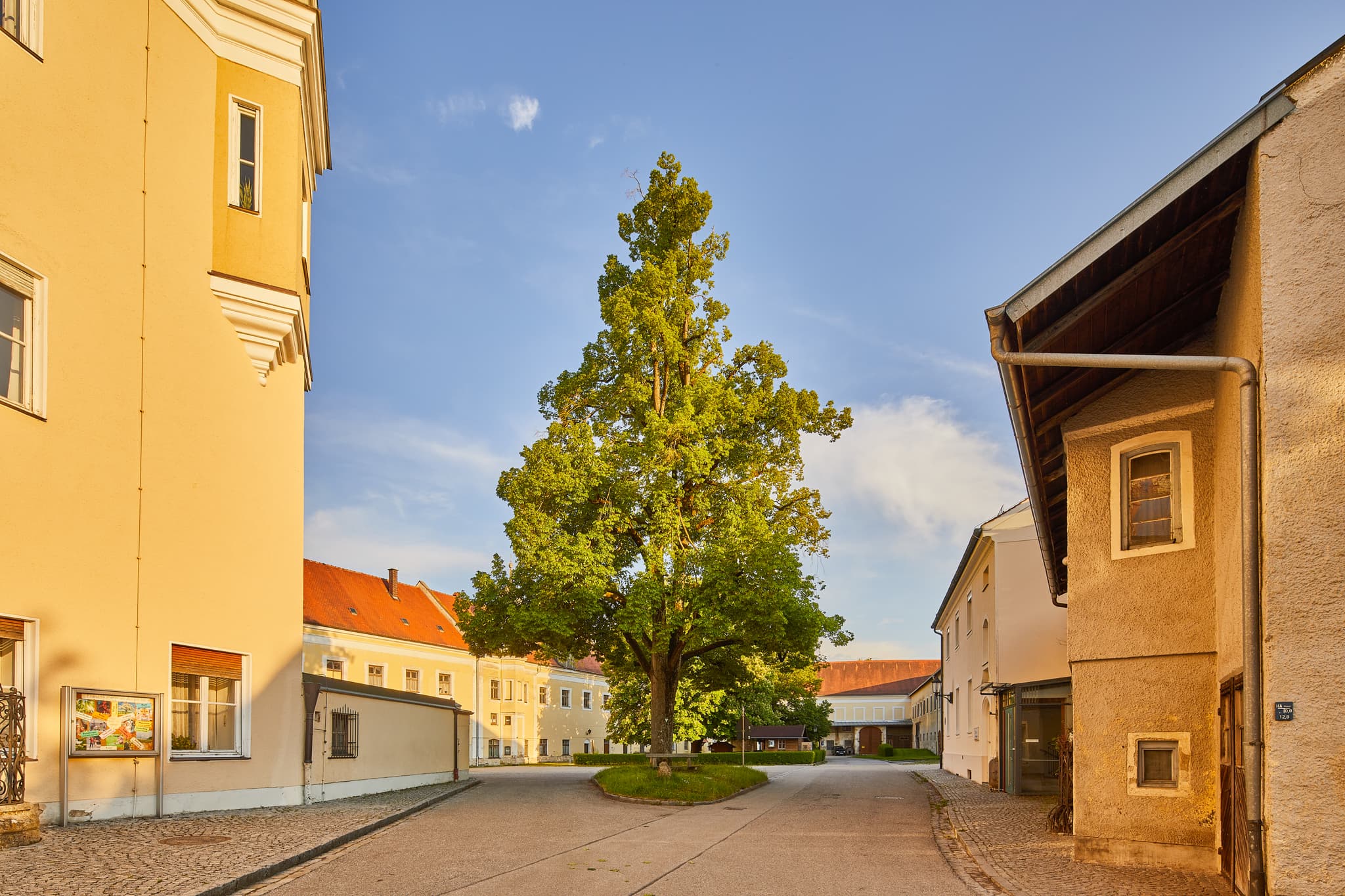 Franziskaner Kloster, Klosterhof, Au am Inn, Gars am Inn, Mühldorf am Inn, Oberbayern, Deutschland. Historischer Klosterhof mit großem Baum, Inn-Salzach Region.