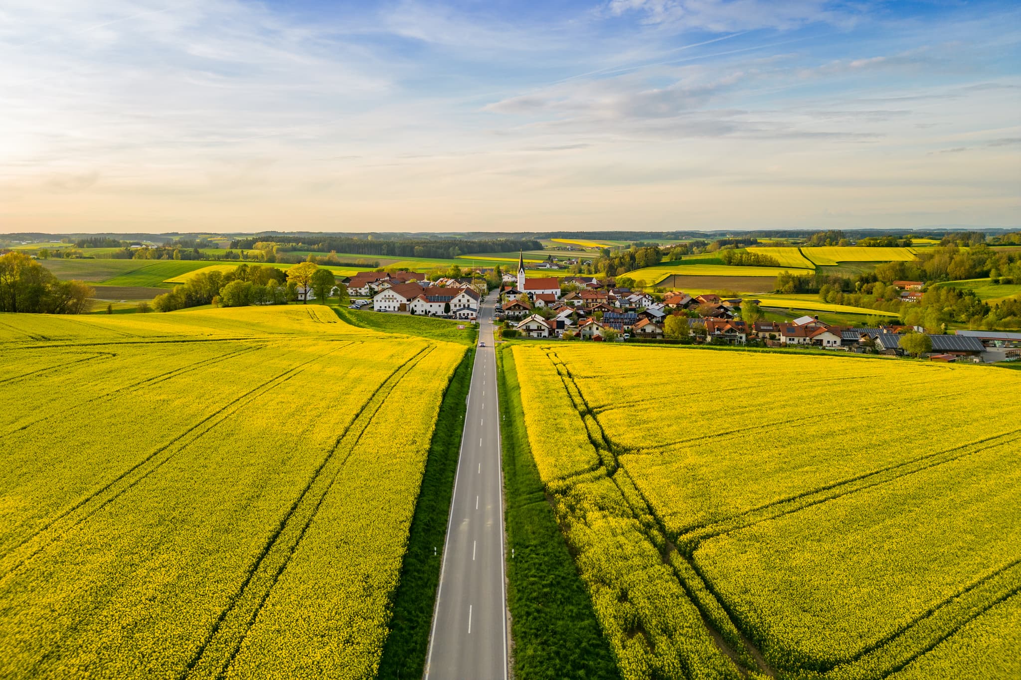 Rapsfelder Arbing, Reischach, Altötting, Oberbayern, Inn-Salzach, Deutschland. Leuchtend gelbe Felder umgeben Straße und Dorf in dieser ländlichen Natur.