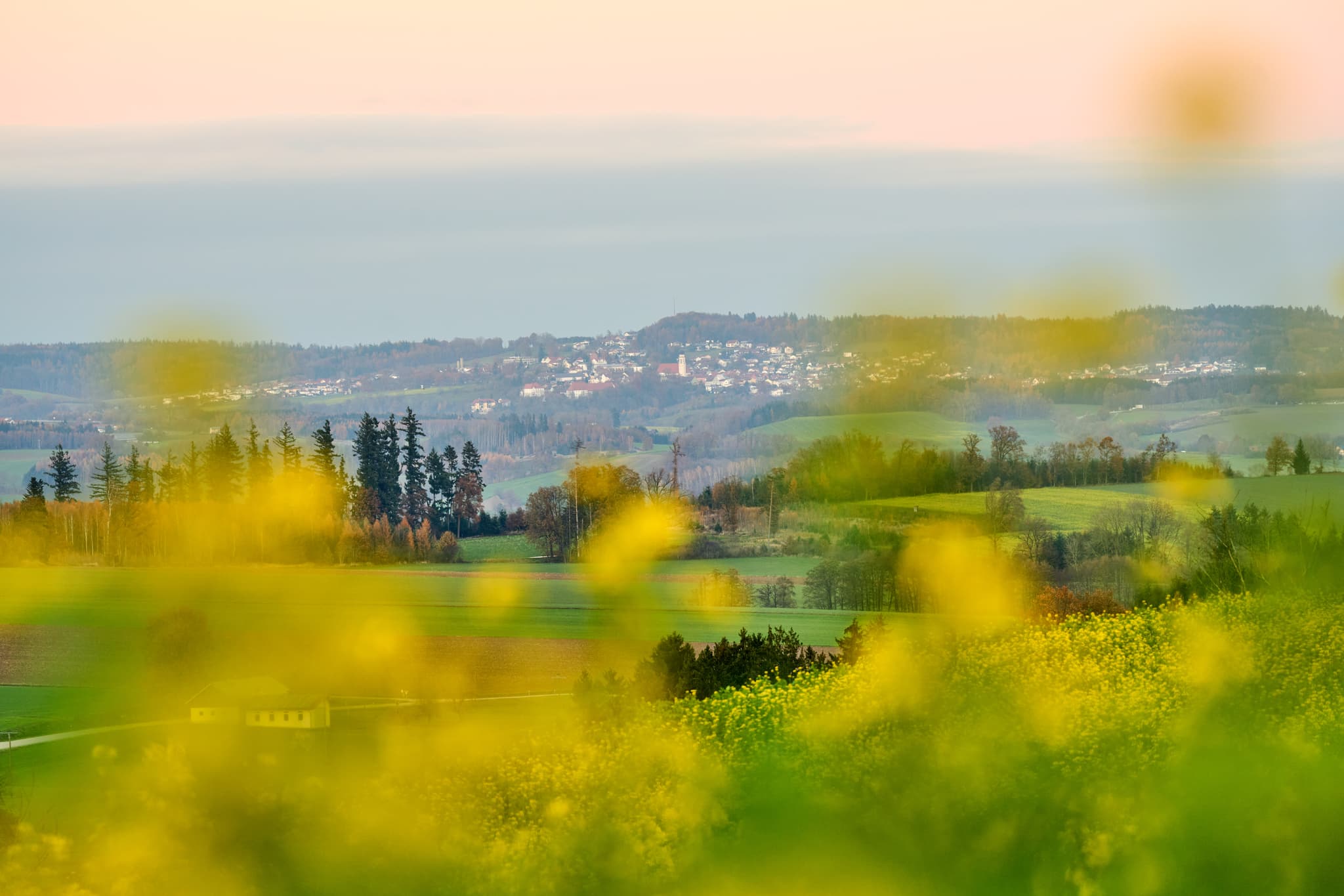 Panoramablick von Kößlarn, Lkr. Passau, Niederbayern, Bäderdreieck, über blühende Rapsfelder. Im Hintergrund die malerische Stadt Bad Griesbach.