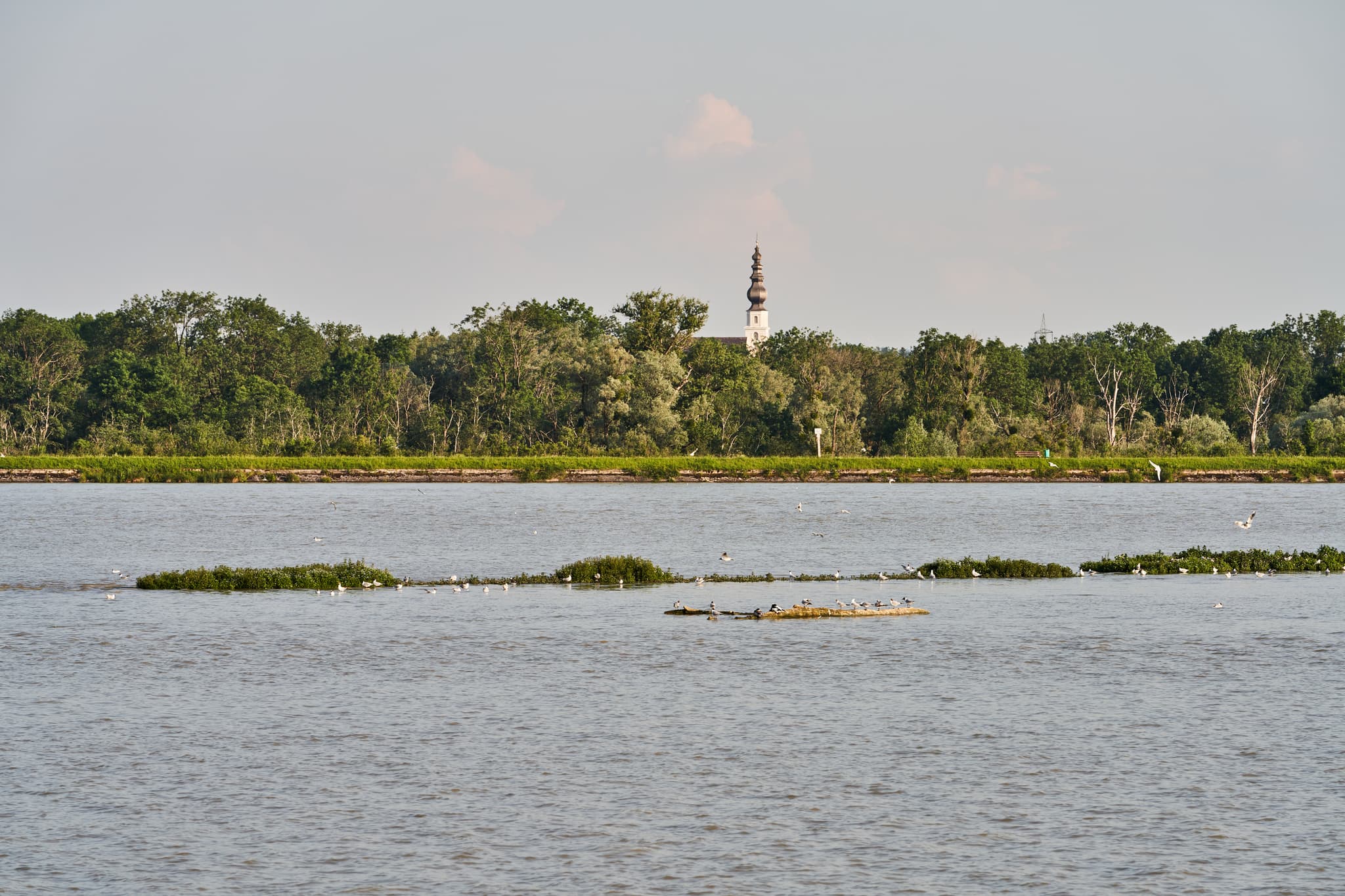 Europareservat Unterer Inn bei Ering im Landkreis Rottal-Inn, Niederbayern, Deutschland. Blick nach Mining, Oberösterreich.