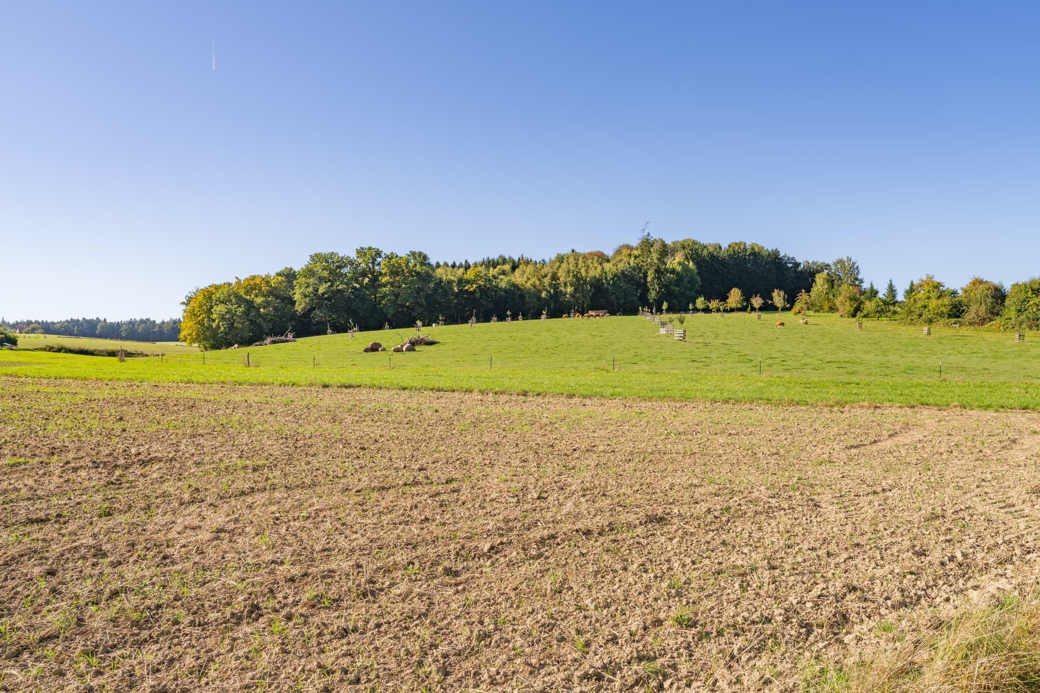 Landschaft mit Acker und grünen Wiesen nahe Lapperding, Ortsteil von Johanniskirchen, Landkreis Rottal-Inn, Niederbayern, Deutschland. Region Holzland.