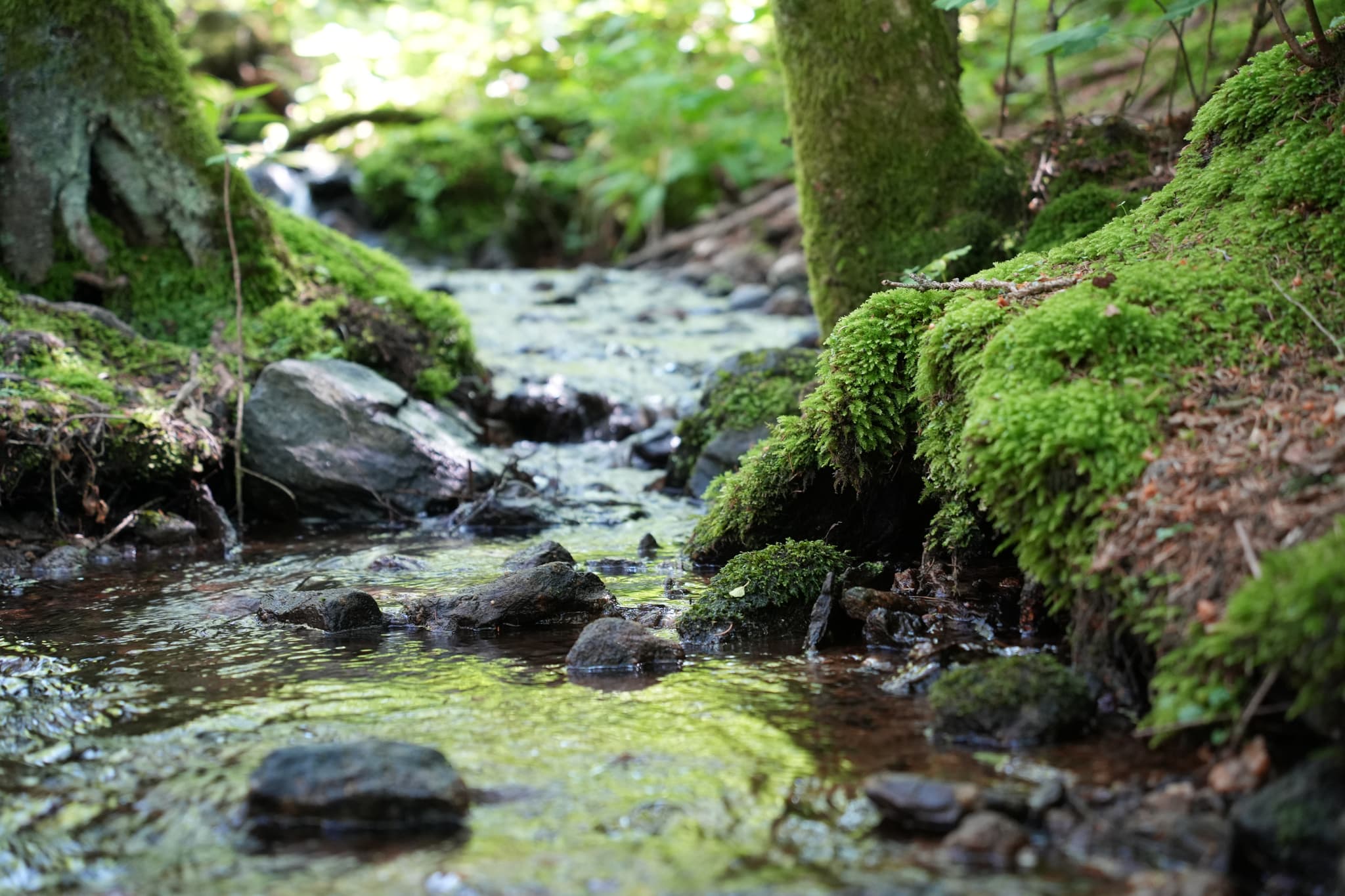 Schöner Wasserfall im Herzen des Waldes, schöne nicht allzulange Wanderung mit vielen schönen Motiven 