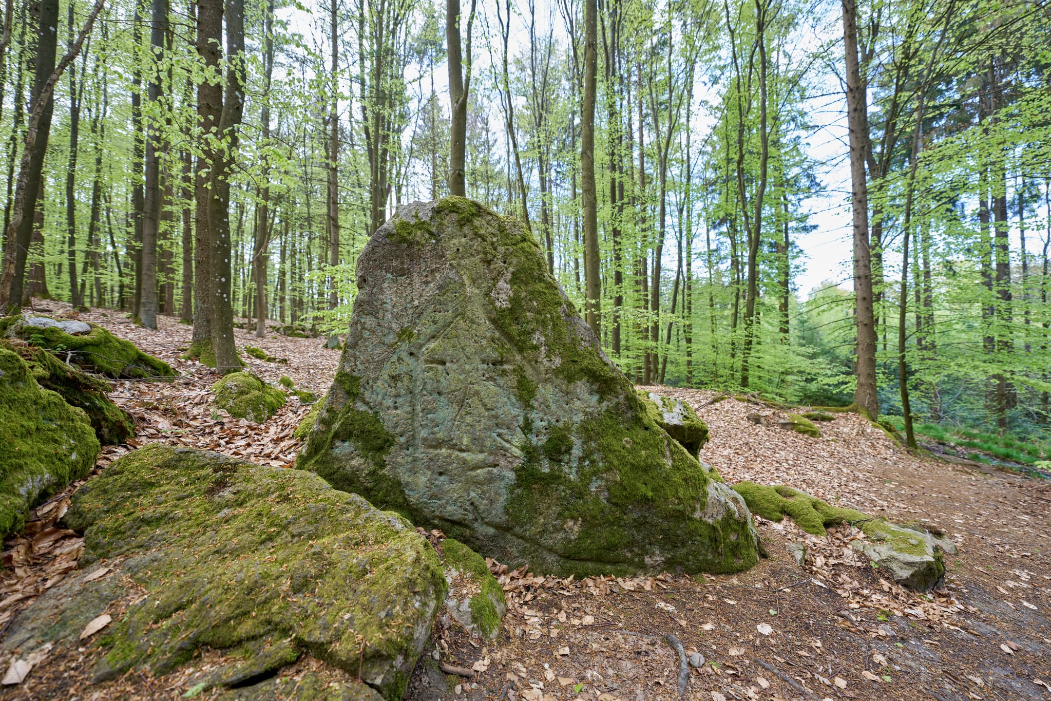 Bild zeigt einen Kultstein im Wald bei St. Salvator, Bad Griesbach, Passau, Niederbayern, Bayern, Deutschland. Der Kultschein ist ein bewachsener Felsen.