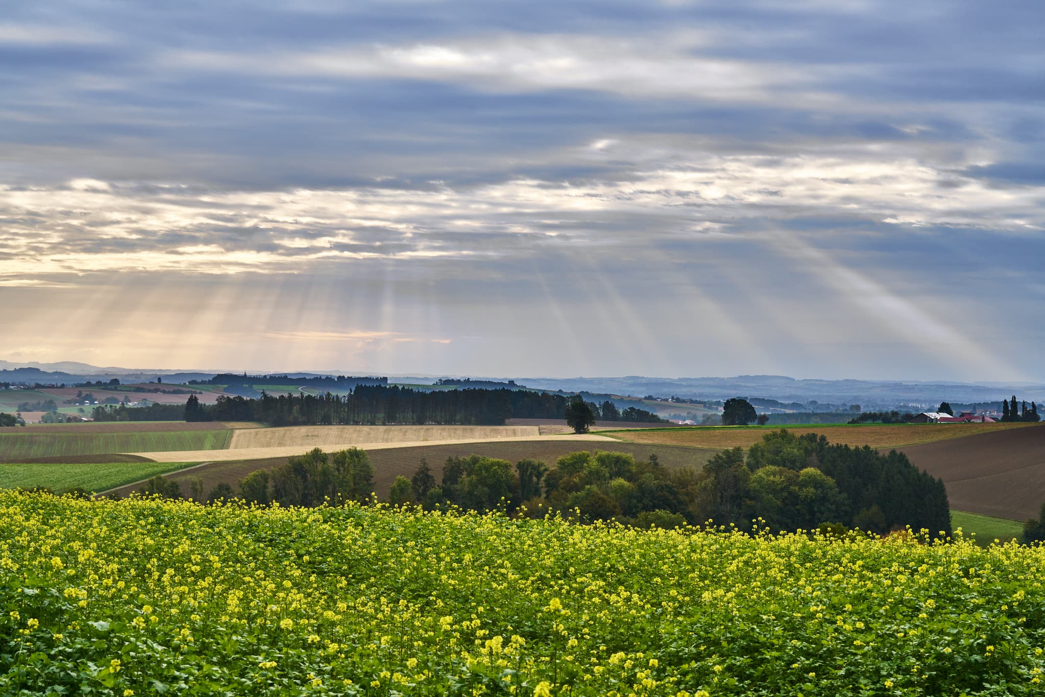Herbstlandschaft bei Bad Griesbach, Landkreis Passau, Niederbayern. Die Sonne durchbricht die Wolken.