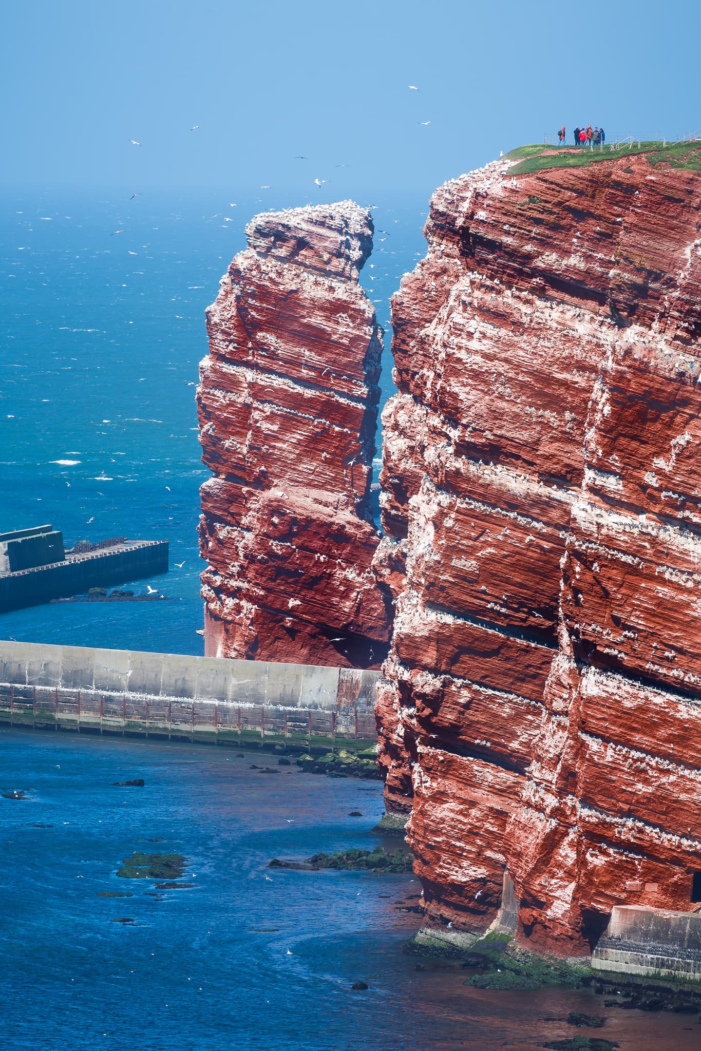 Die Lange Anna, und die Lummenfelsen prägen die Küste Helgolands. Wahrzeichen der Nordseeinsel, Kreis Pinneberg, Schleswig-Holstein, Nordseeküste Deutschlands.