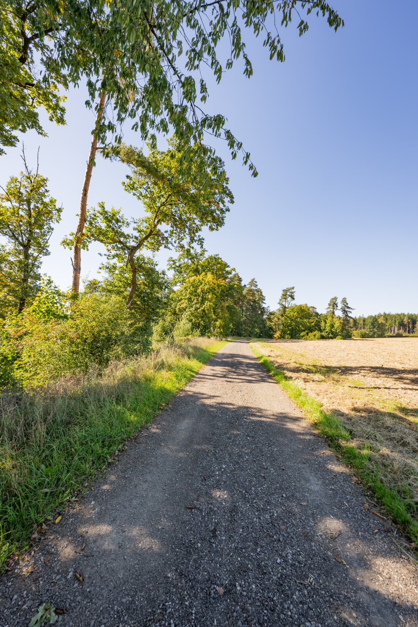 Guteneck nach Lapperding, Johanniskirchen, Rottal-Inn, Niederbayern. Feldweg zwischen Wald und abgeerntetem Feld im Holzland, Deutschland. Sonnige Szene.