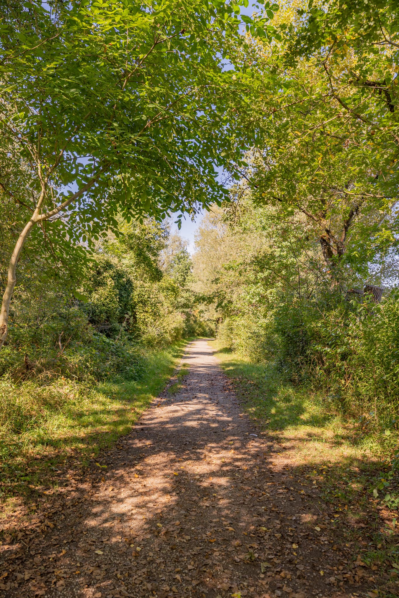 Waldweg in Kirchdorf am Inn, Landkreis Rottal-Inn, Niederbayern. Die Landschaft im Holzland, Deutschland, führt um den Waldsee, Badesee Simbach.