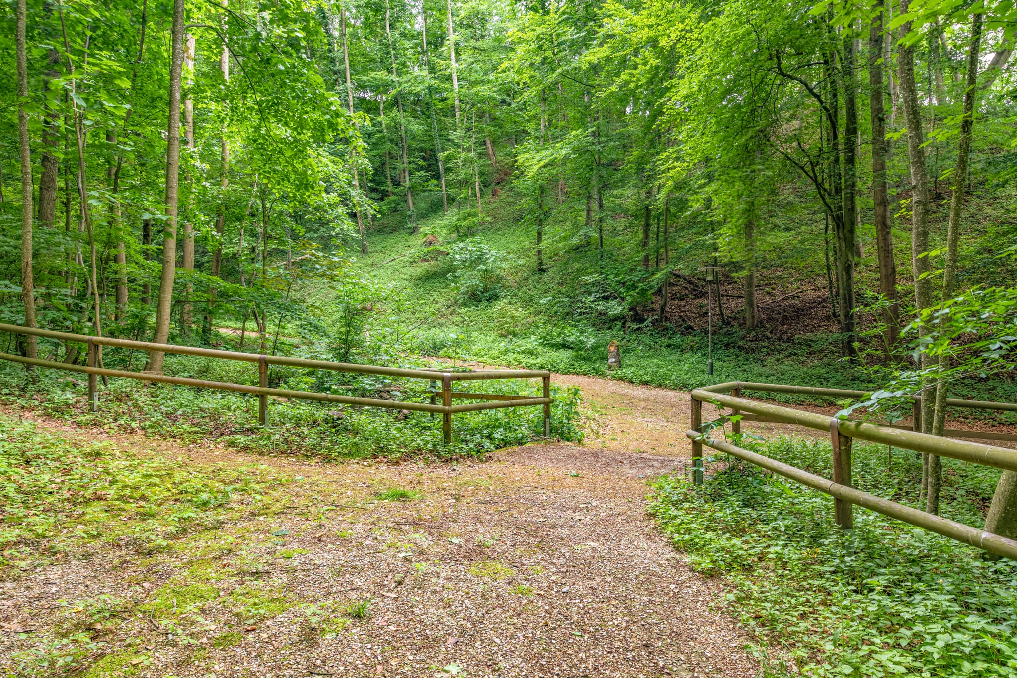 Grüner Wald und ein verzweigter Waldweg am Schlossberg mit Holzgeländern bei Garching, Altötting, Oberbayern. Naturlandschaft der Region Inn-Salzach.