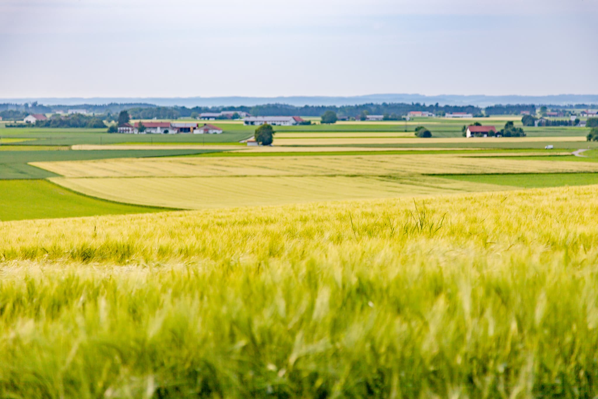 Felder und sanfte Hügel charakterisieren diese Landschaft bei Oberschroffen, Unterneukirchen. Landkreis Altötting, Oberbayern, Region Inn-Salzach, Deutschland.