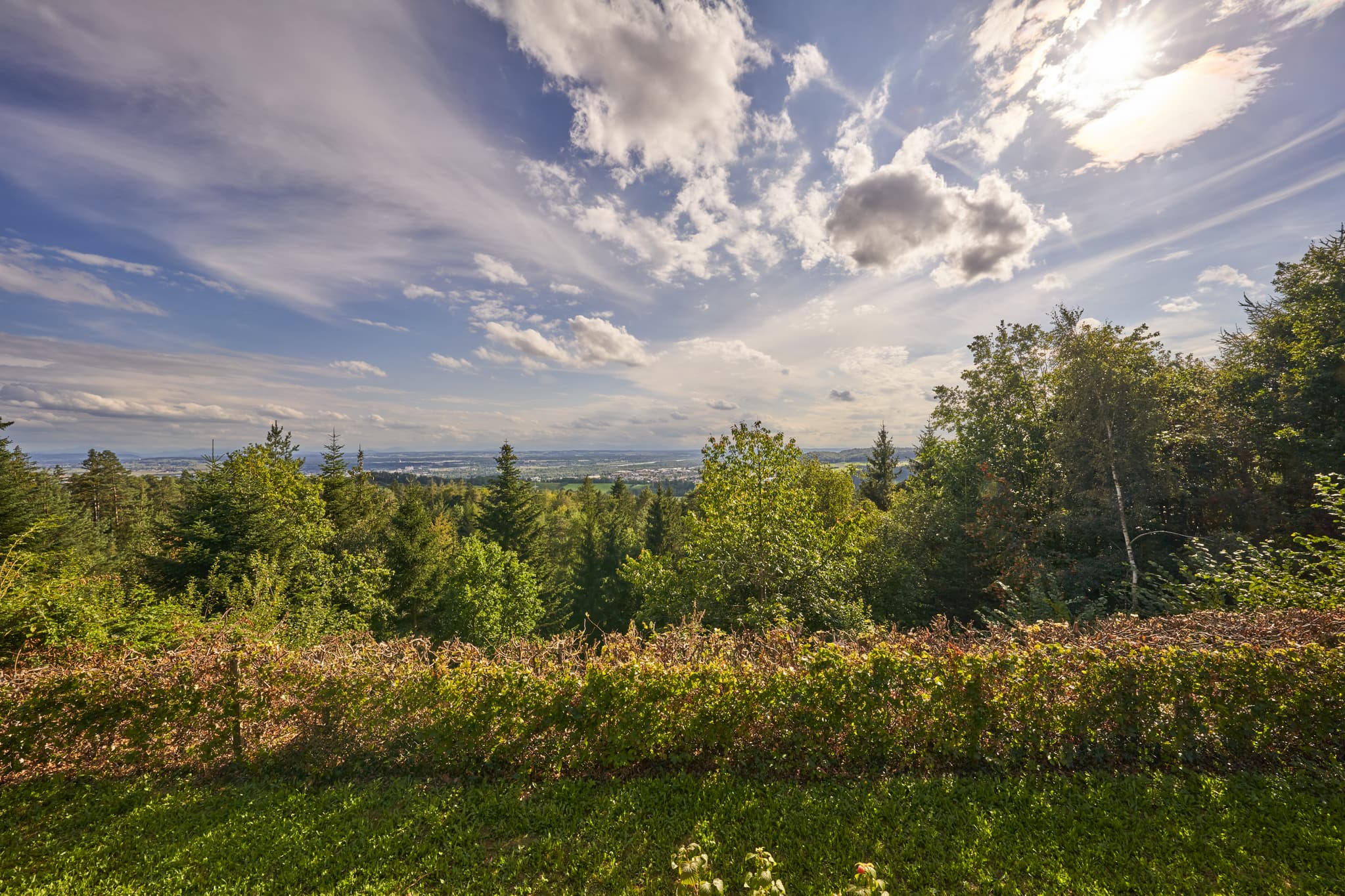 Aussicht über Wälder bei Simbach am Inn, Landkreis Rottal-Inn, Niederbayern, Holzland, Bäderdreieck, Bayern, Deutschland.