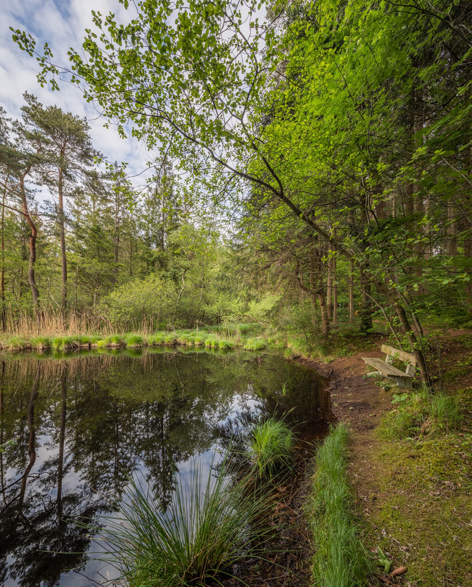 Todeiskesselweg im Haager Land, Gemeinde Haag, Mühldorf am Inn. Diese Wald- und Teichlandschaft in Oberbayern, Deutschland, ist Teil der Inn-Salzach Region.