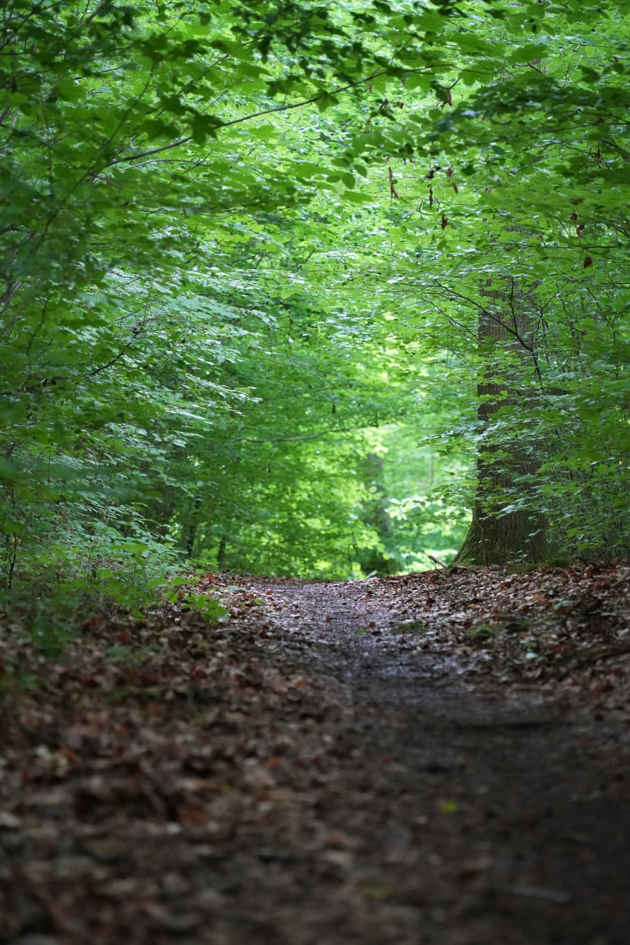 Schöner Spazierweg vom Schloss Frauenbühl, nach Holzen, zur Isen mit Vielen Steinen zum Balancieren und Fotografieren wieder zum Schloss zurück