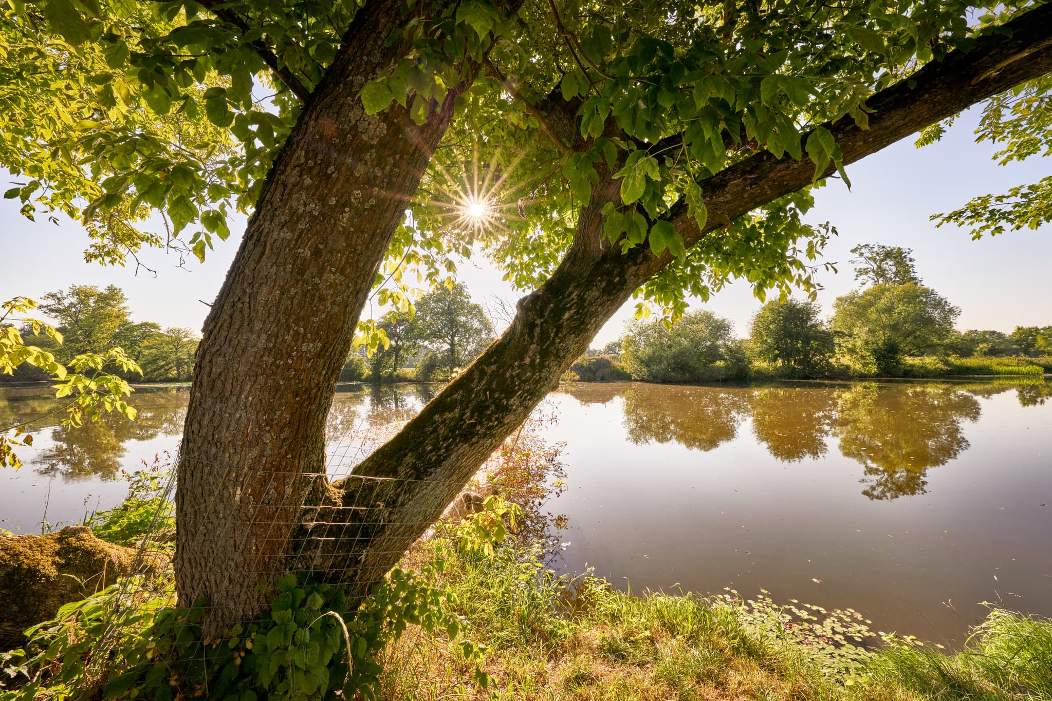 Idyllische Szene an der Rott bei Schalkham, Bad Griesbach im Landkreis Passau, Niederbayern, Deutschland. Eine Landschaft im Herzen des Bäderdreiecks.