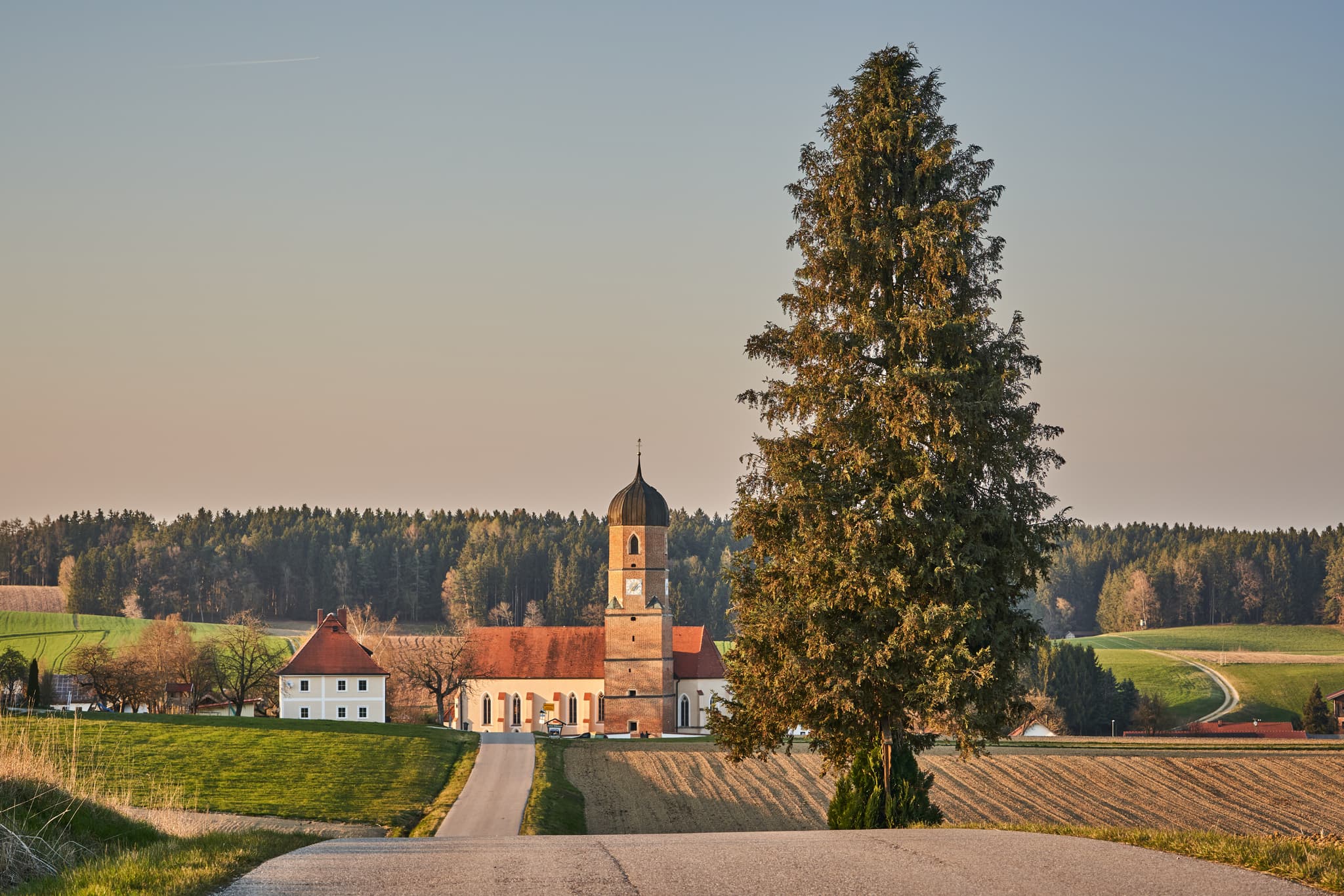 Markannter Baum vor Kirche in Martinskirchen bei Wurmannsquick, Landkreis Rottal-Inn. Ländliche Landschaft des Holzland in Niederbayern, Deutschland.