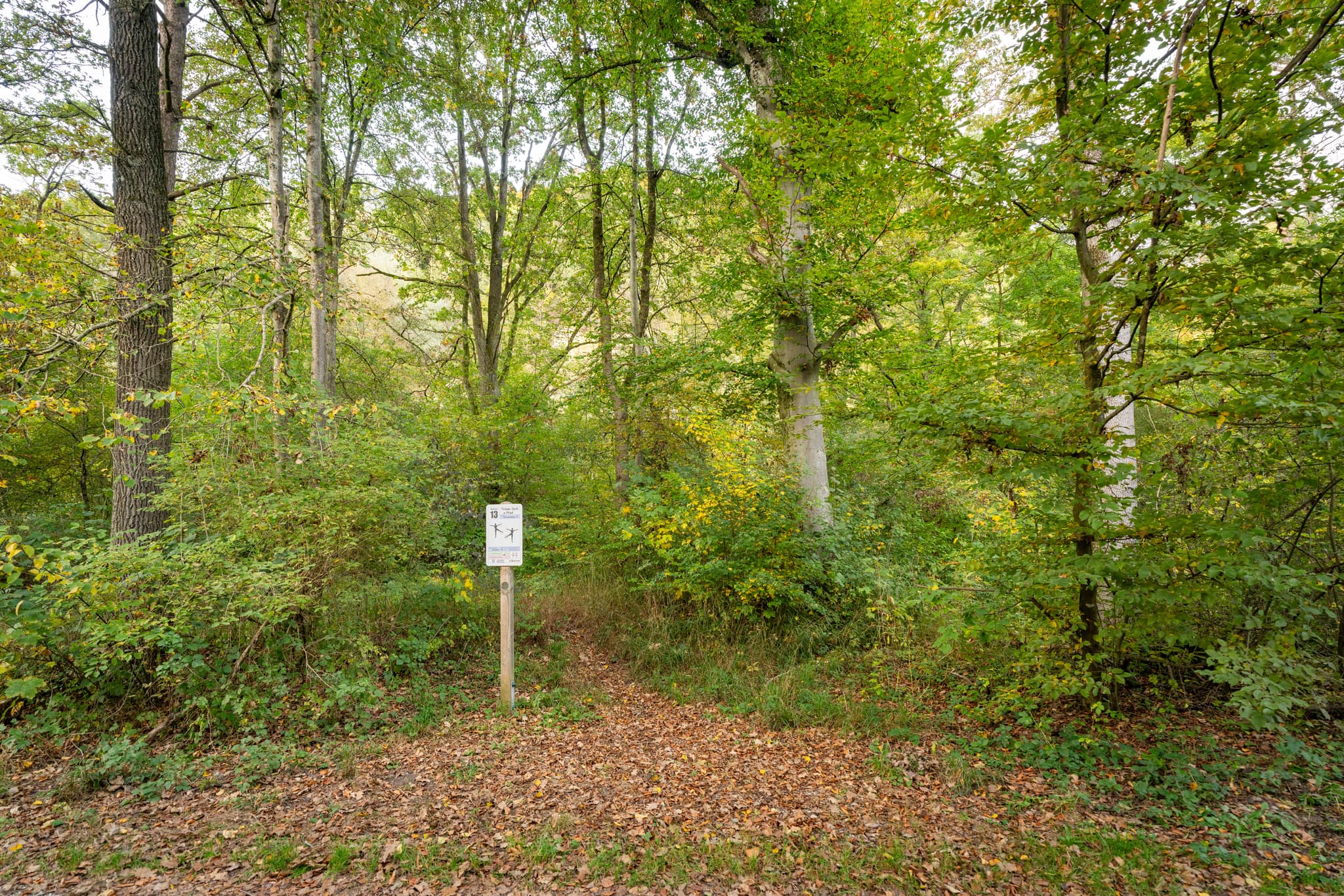 Arm-Beinkreisen Station am Trimm-dich-Pfad in Winhöring, Landkreis Altötting, Oberbayern, Region Inn-Salzach, Deutschland.