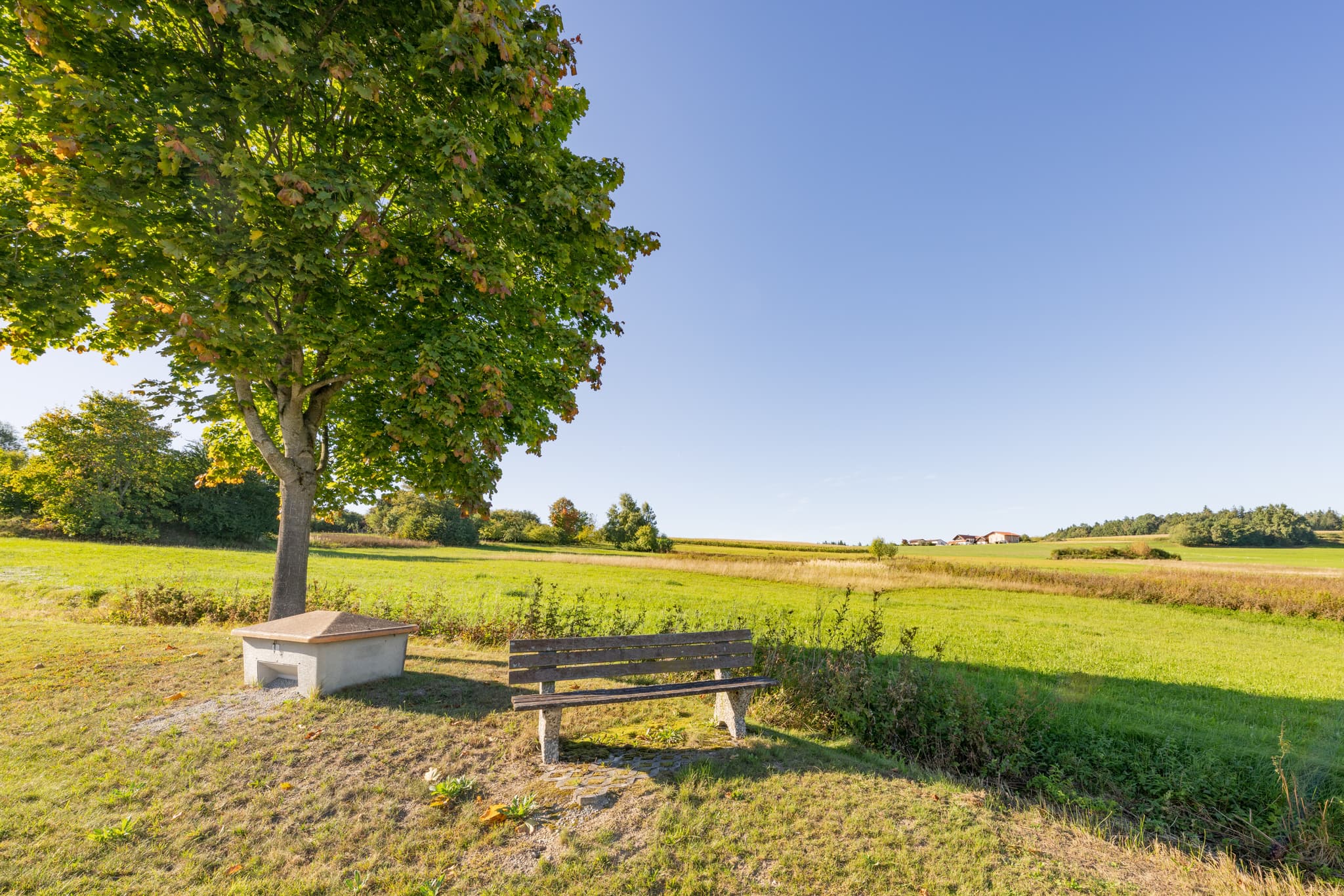 Bank bei Mais, Baumgarten, Gemeinde Dietersburg, Rottal-Inn, Niederbayern. Eine Bank unter einem Baum mit Blick auf Wiesen und Felder, Landschaft im Holzland.