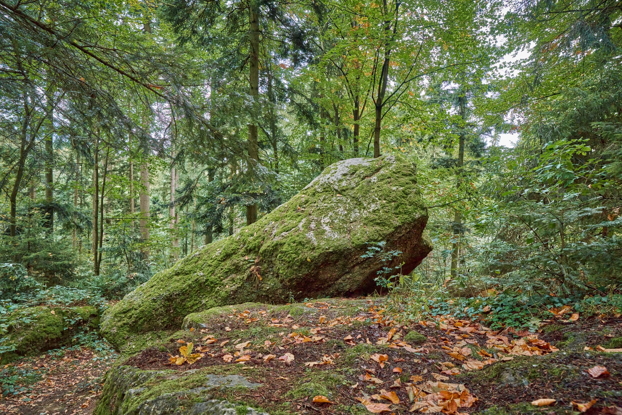 Teufelsstein in Bad Griesbach, Landkreis Passau, Niederbayern, Bayern, Deutschland. Das Bild zeigt Details der Felsstrukturen mit Farbreste.