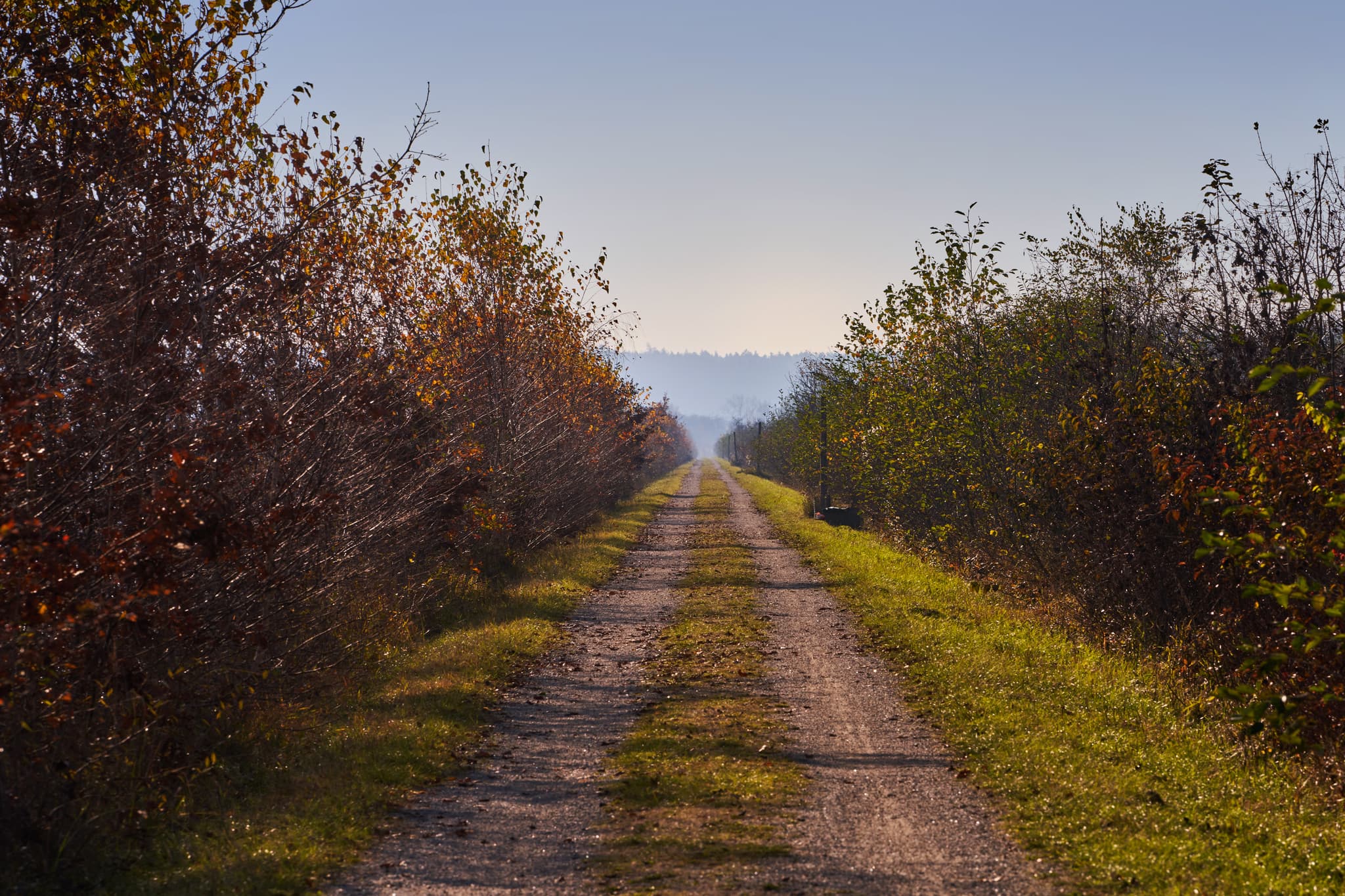 Der Inn-Radweg bei Kirchdorf am Inn, Rottal-Inn, Niederbayern. Ein Feldweg, gesäumt von Sträuchern, erstreckt sich unter weitem Himmel im Holzland, Deutschland.
