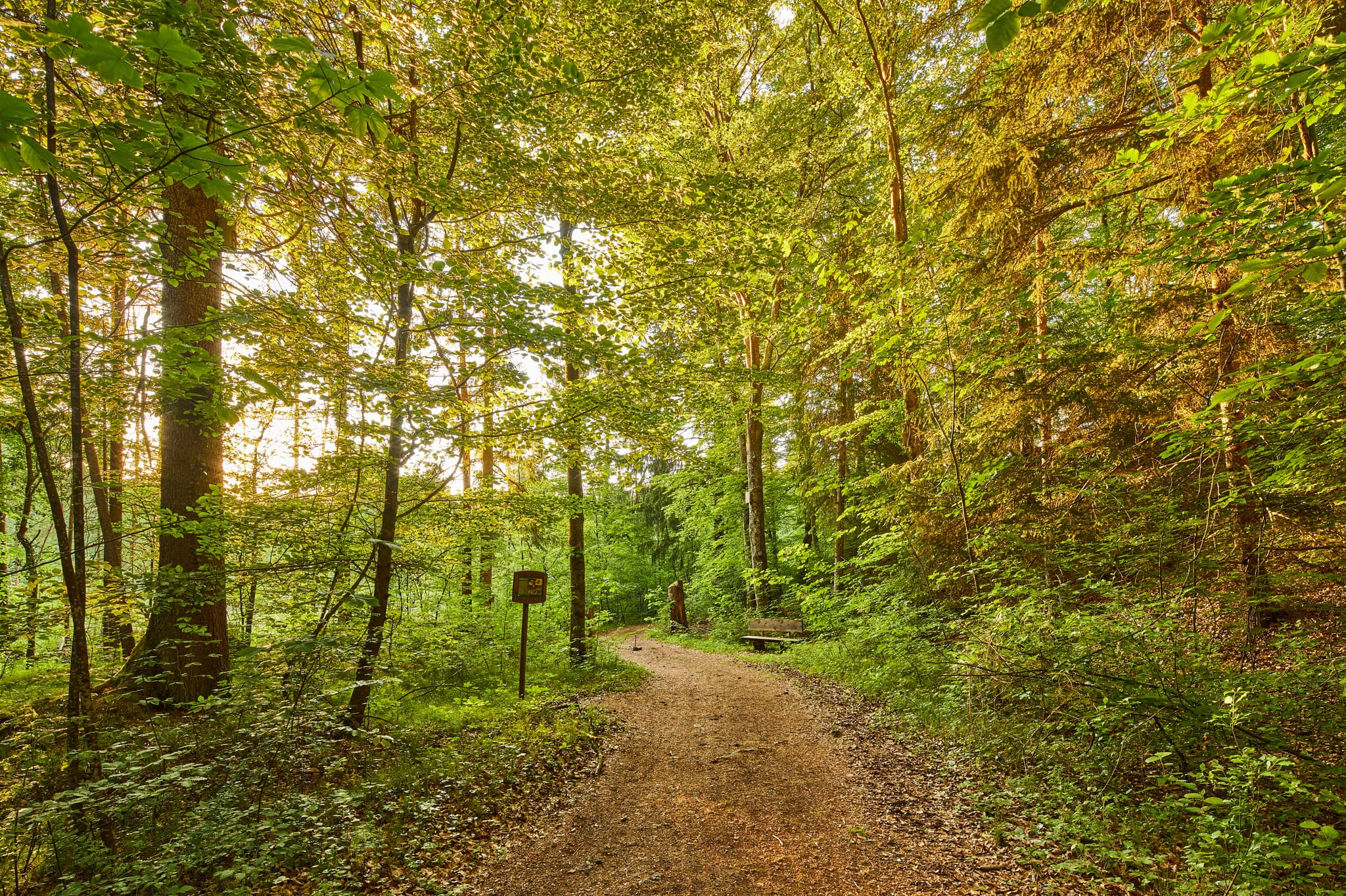 Walderlebnispfad entlang Alz und Au bei Mehring, Klosterau Walderlebnispfad. Naturerlebnis im Landkreis Altötting, Oberbayern, Inn-Salzach, Deutschland.