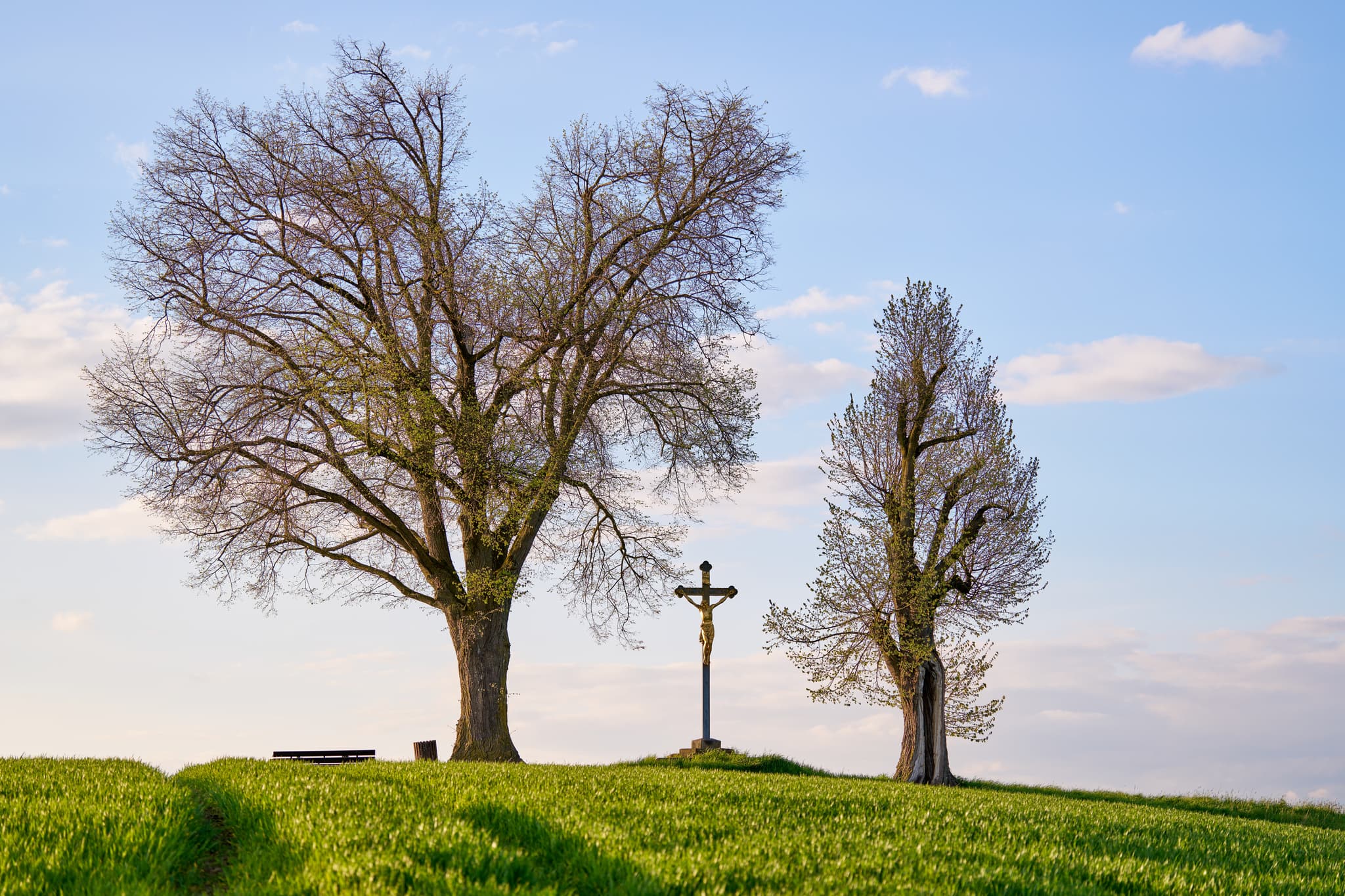 Blick auf das Feldkreuz am Aussichtspunkt in Karpfham, Gemeinde Bad Griesbach im Landkreis Passau, Niederbayern, Donau-Wald, Deutschland.