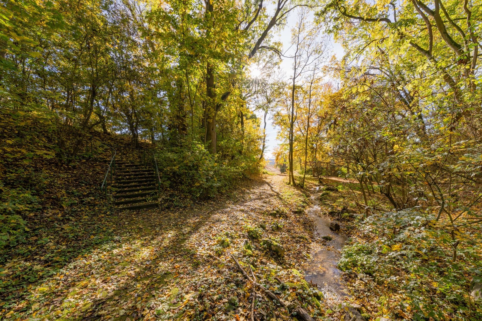 Herbstliche Impressionen Kurpark in Bad Griesbach im Rottal, Landkreis Passau, Niederbayern, Deutschland. Malerischer Park mit bunten Blättern.
