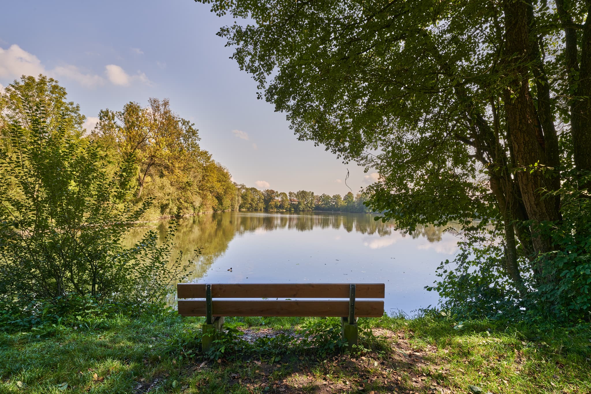 Landschaft am Stauweiher bei Winhöring, Landkreis Altötting, Oberbayern. Grünes Ufer mit Bäumen, Weg und Sitzbank am Wasser. Region Inn-Salzach, Deutschland.