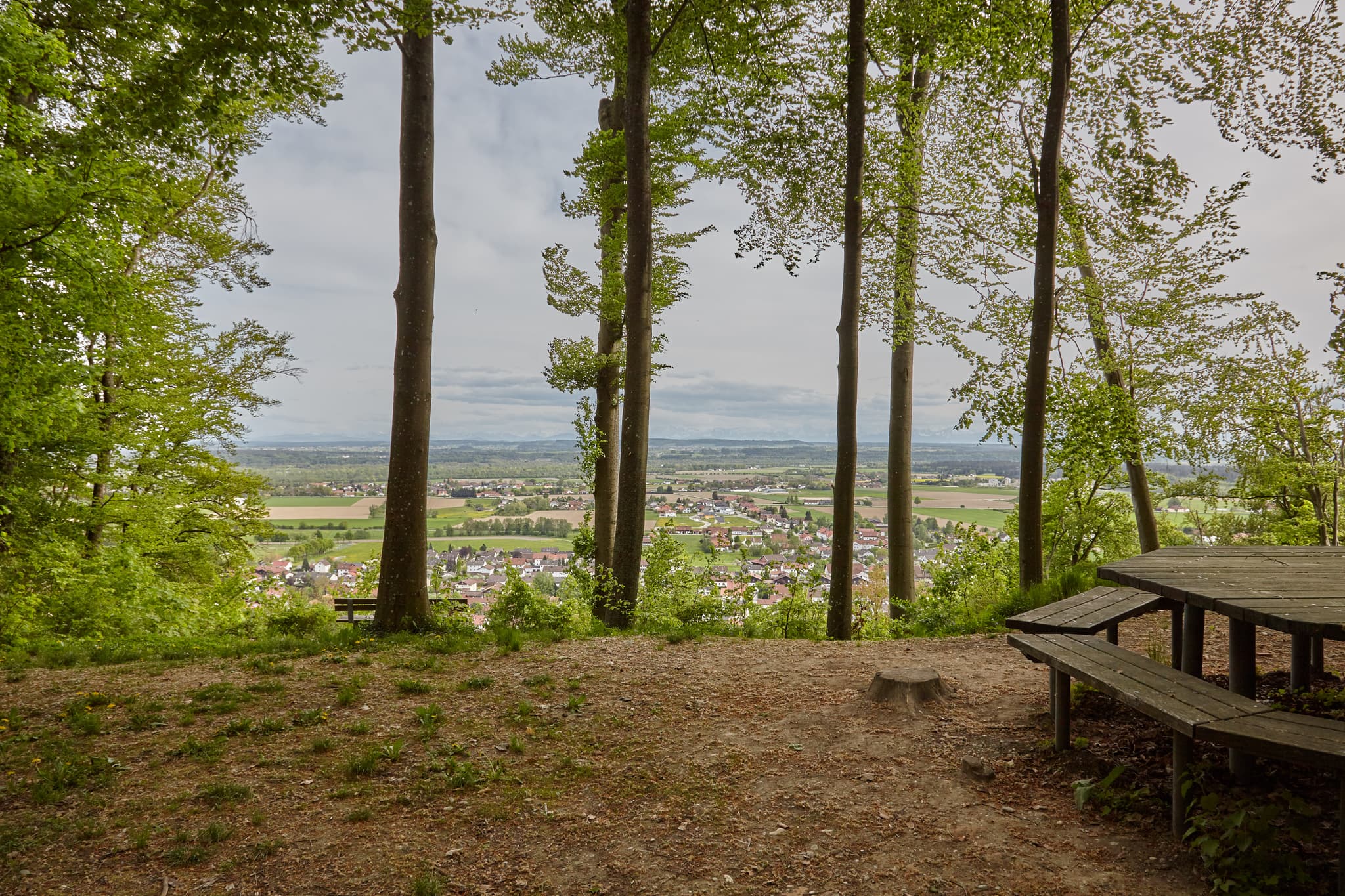 Aussicht auf dem Schlossberg in Julbach, Gemeinde Julbach, Landkreis Rottal-Inn, Niederbayern, Holzland, Bayern, Deutschland.