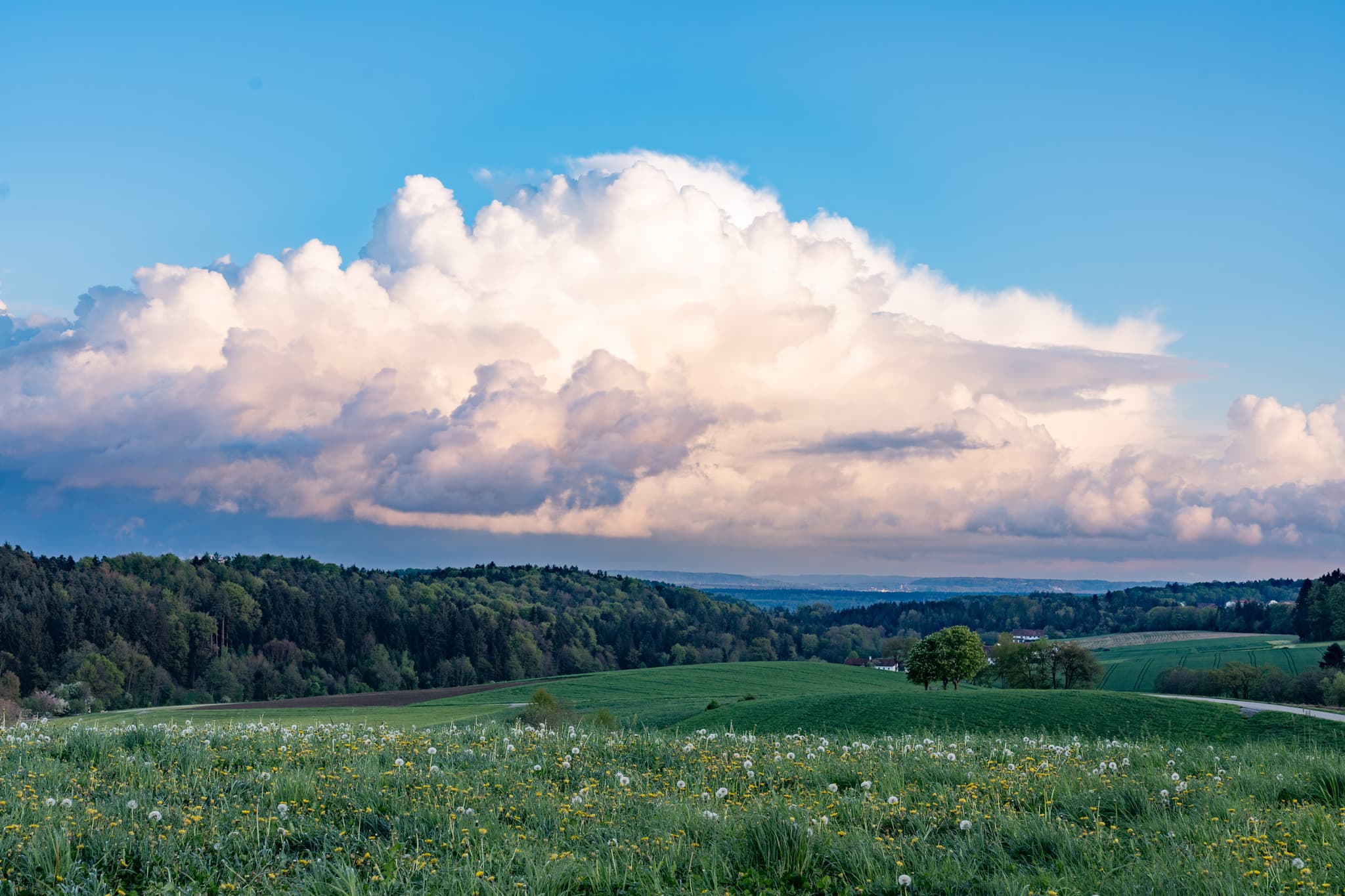 Blick über grüne Felder und Wälder bei Haizing, Gemeinde Erlbach im Landkreis Altötting, Oberbayern. Typische Landschaft der Region Inn-Salzach in Deutschland.