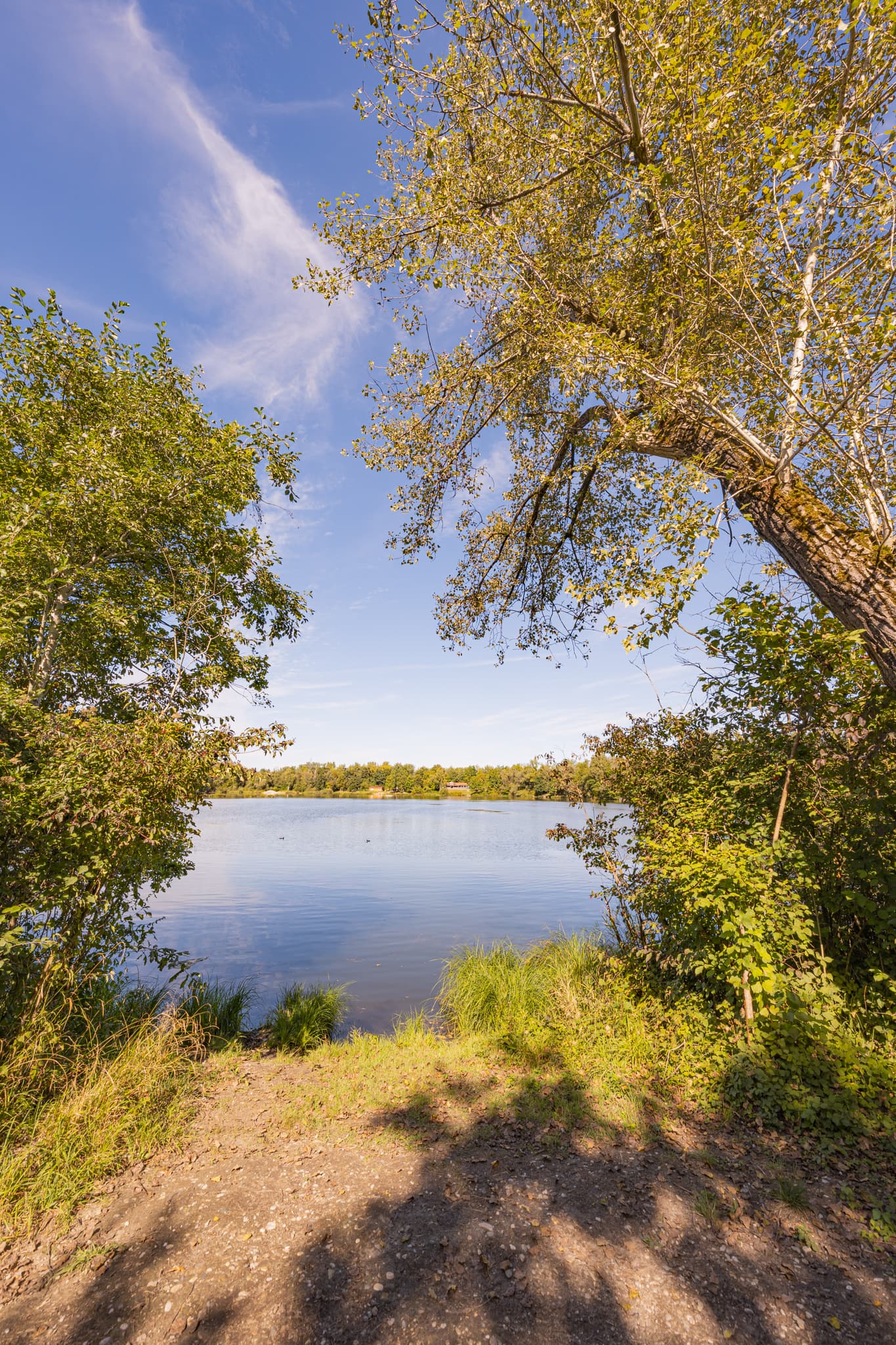 Natürlicher Badesee Simbach (Waldsee Lago Sommer) bei Kirchdorf am Inn. Ruhige Landschaft in Rottal-Inn, Niederbayern, Bäderdreieck, Deutschland.