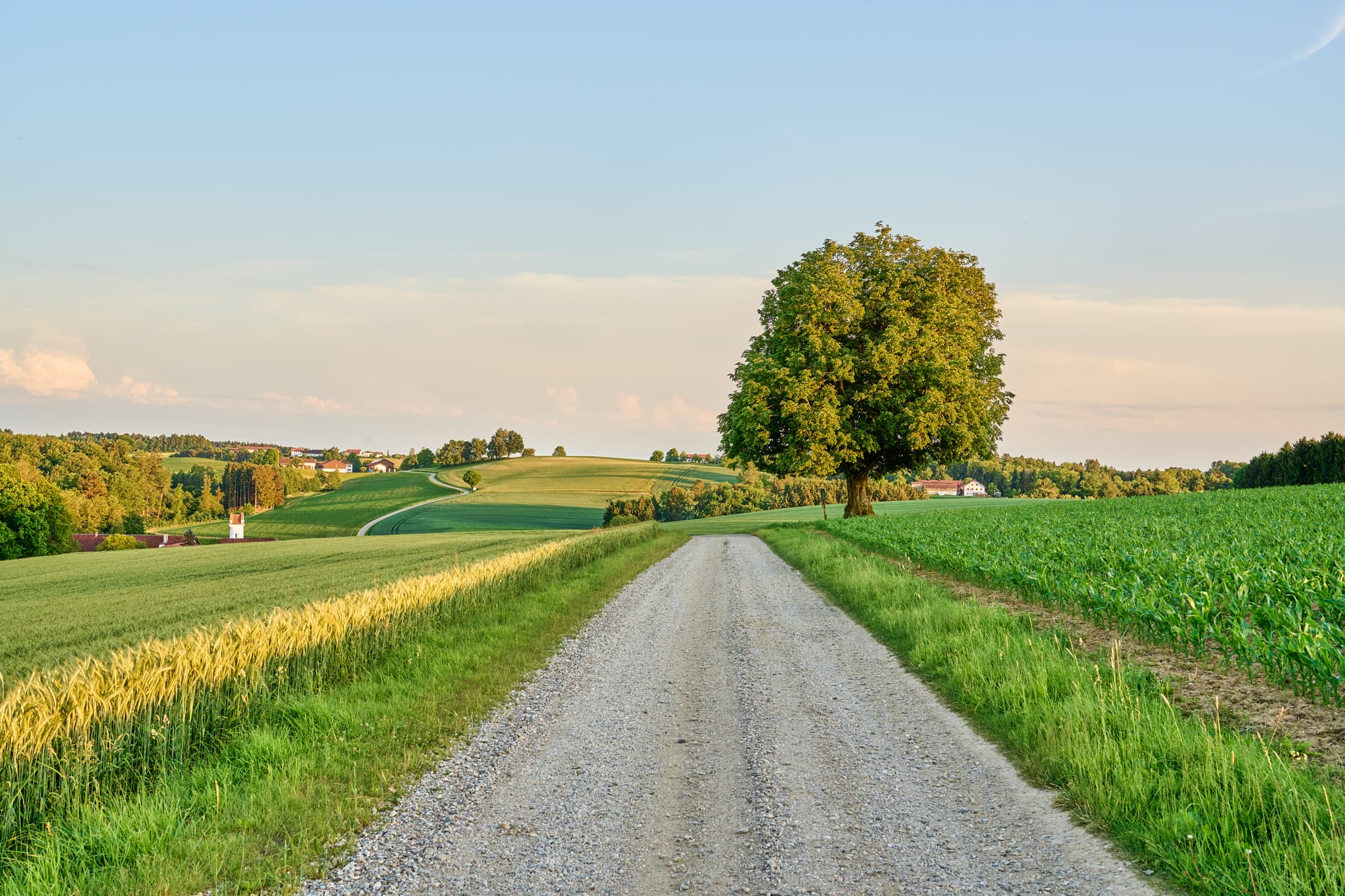 Landschaft mit einem Feldweg, grünen Feldern und sanften Hügeln. Gelegen in Birnbach, Erlbach, Landkreis Altötting, Oberbayern, Inn-Salzach, Deutschland.