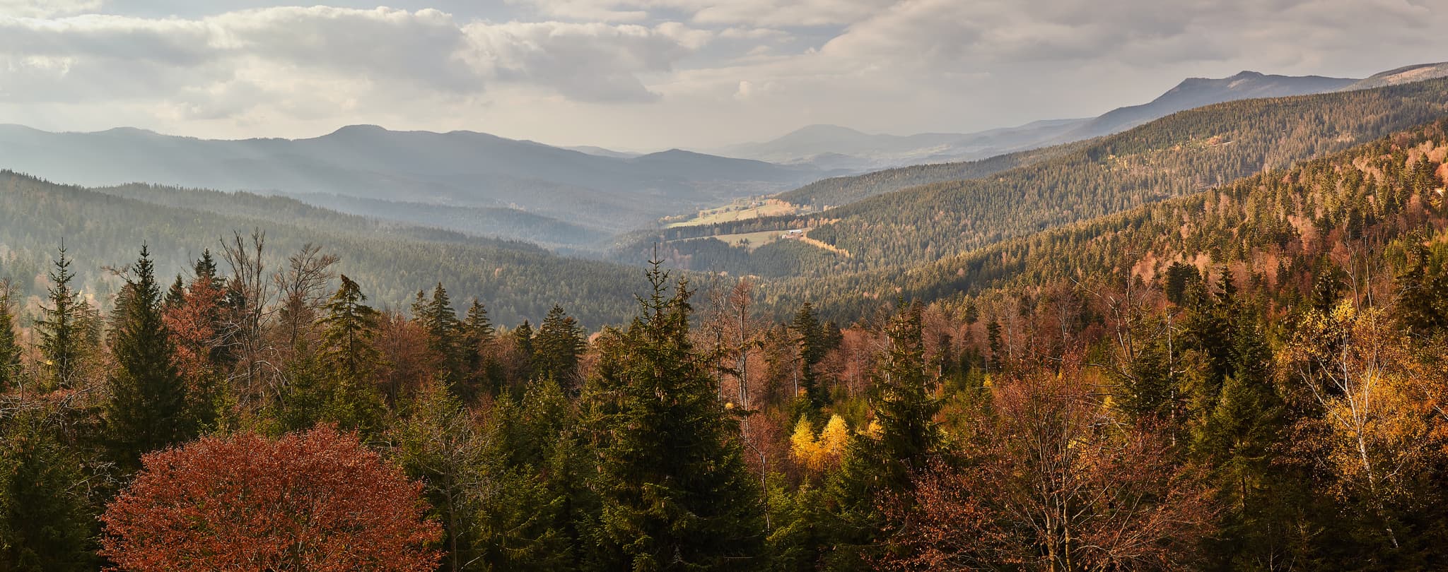 Panoramablick von der Hindenburgkanzel bei Lohberg im Landkreis Cham, Oberpfalz, Deutschland. Bewaldete Hügel im Bayerischen Wald unter Wolkenhimmel.