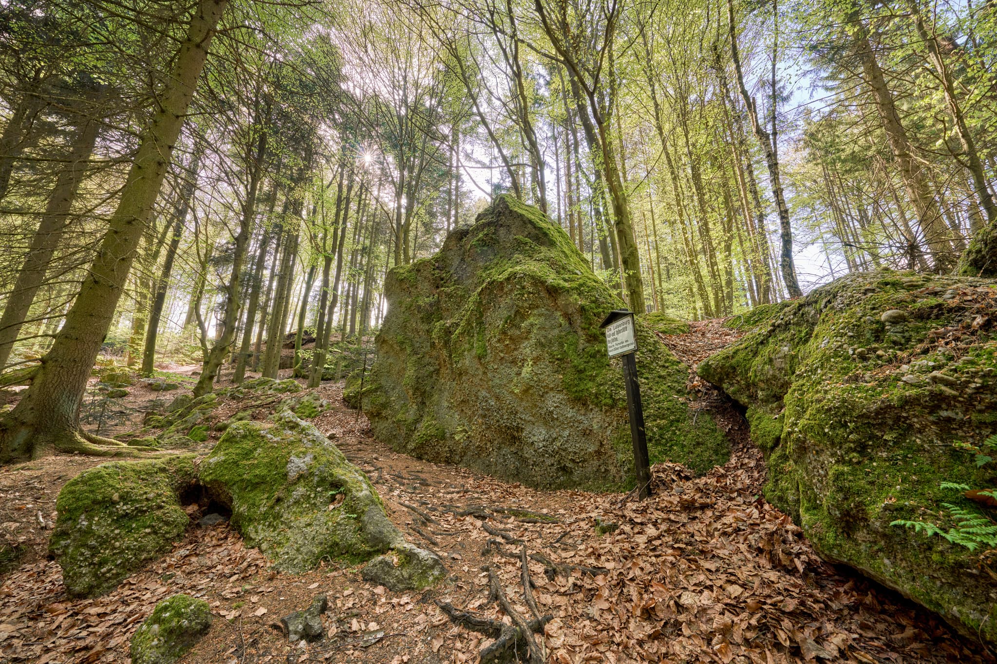 Waldweg mit bemoosten Felsen in St. Salvator Luisenburg, Bad Griesbach. Passau, Niederbayern, Deutschland.