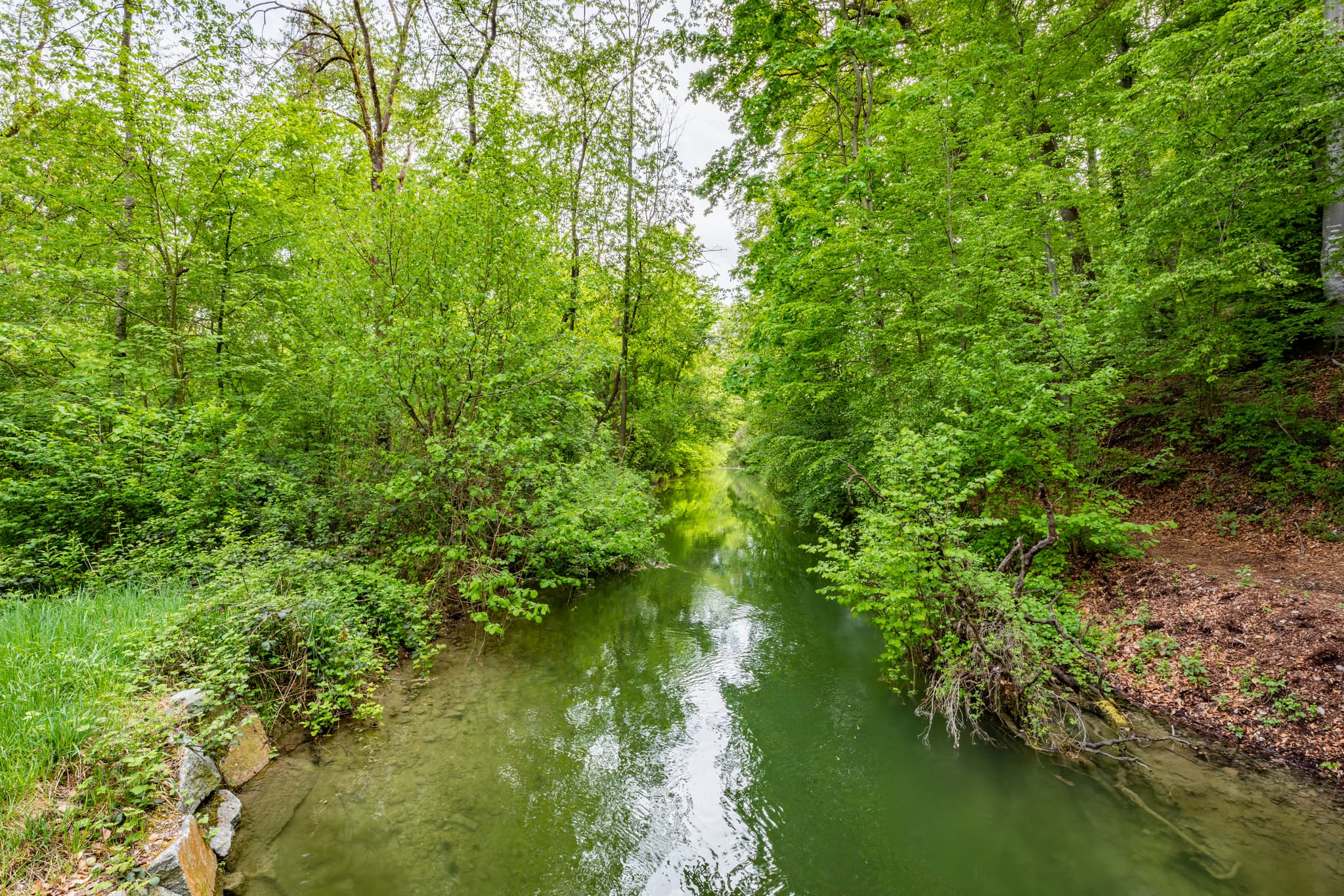 Mühlbach, Naturerlebnis in Garching, Landkreis Altötting, Oberbayern, Deutschland. Naturbelassene Wasserlandschaft in der Region Inn-Salzach.