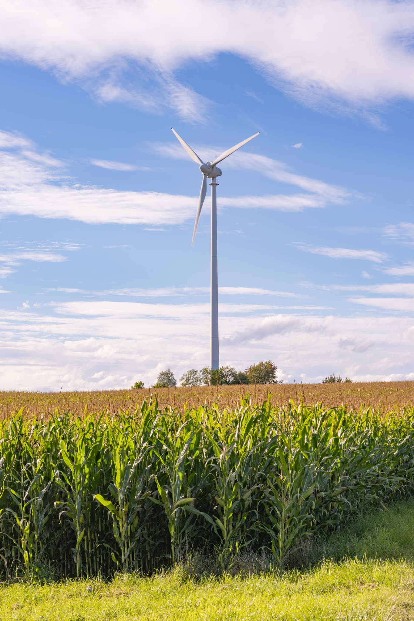 Windpark in Dirnaich, Gangkofen, Landkreis Rottal-Inn, Niederbayern, Deutschland. Eine Windkraftanlage steht inmitten der ländlichen Landschaft des Holzlandes.
