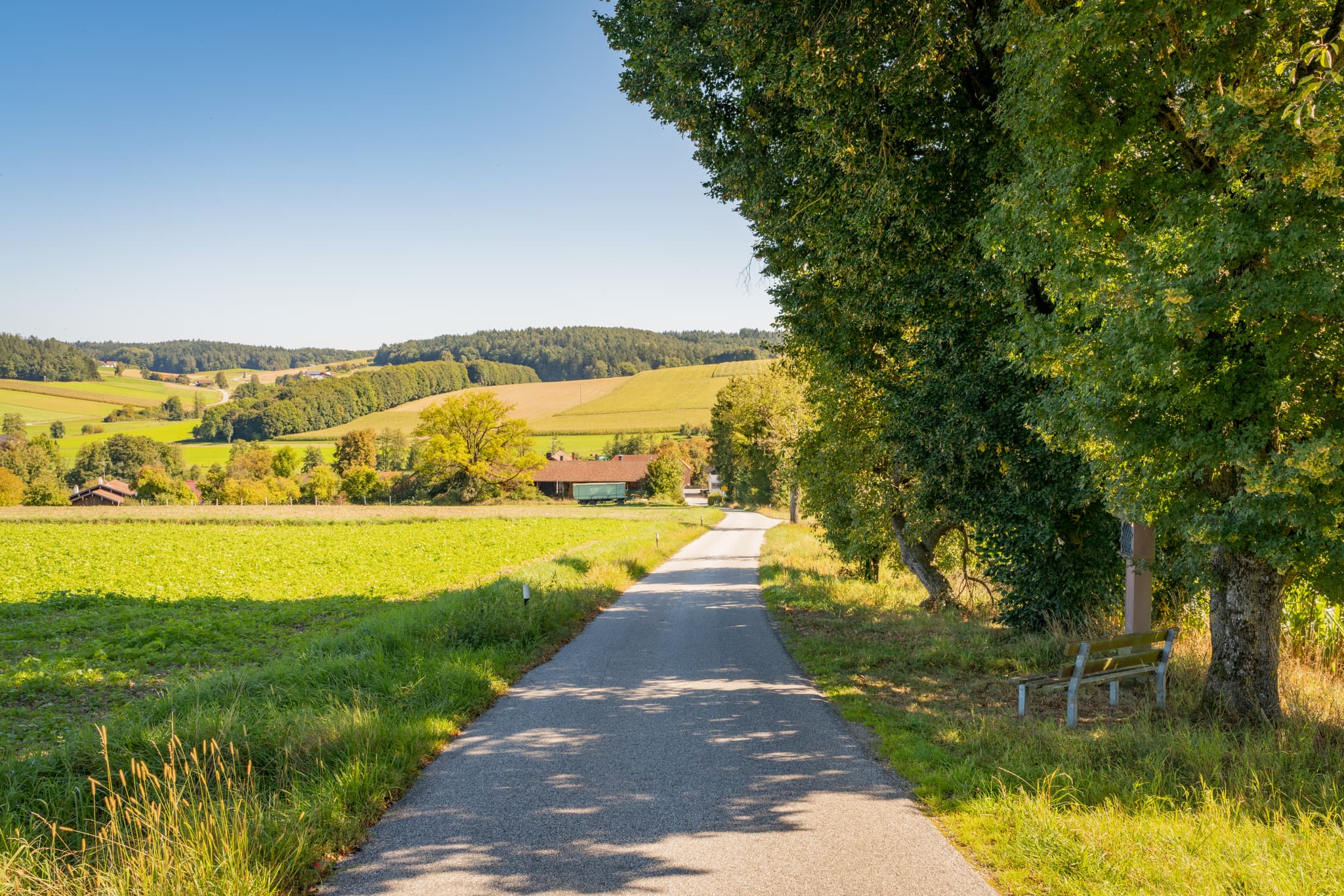 Straße nach Guteneck, Johanniskirchen, Sulzbachtal, Landkreis Rottal-Inn, Niederbayern, Holzland, Deutschland, Bildstock mit Bank am Wegesrand.