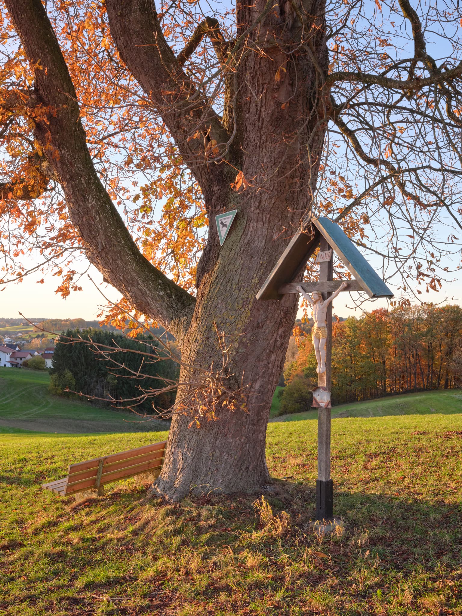Kastanienbaum mit Flurkreuz und Bank auf Hügel in Petzlberg, Reischach. Landkreis Altötting, Oberbayern. Inn-Salzach Region, Deutschland, im herbstlichen Licht.