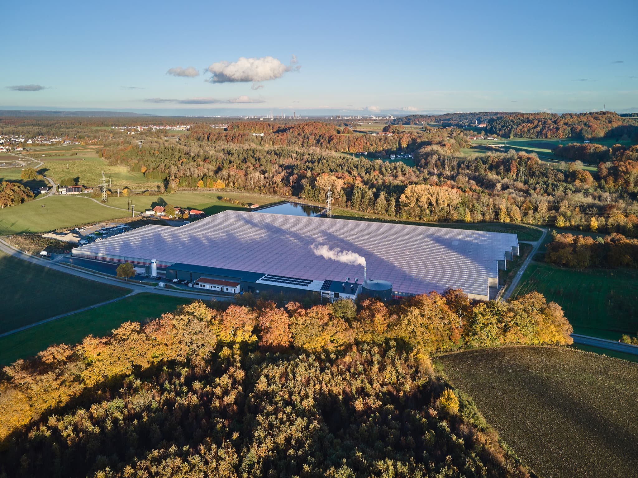 Gemüseanbau in Emmerting-Bruck, Landkreis Altötting, Regierungsbezirk Oberbayern, Region Inn-Salzach, Deutschland.