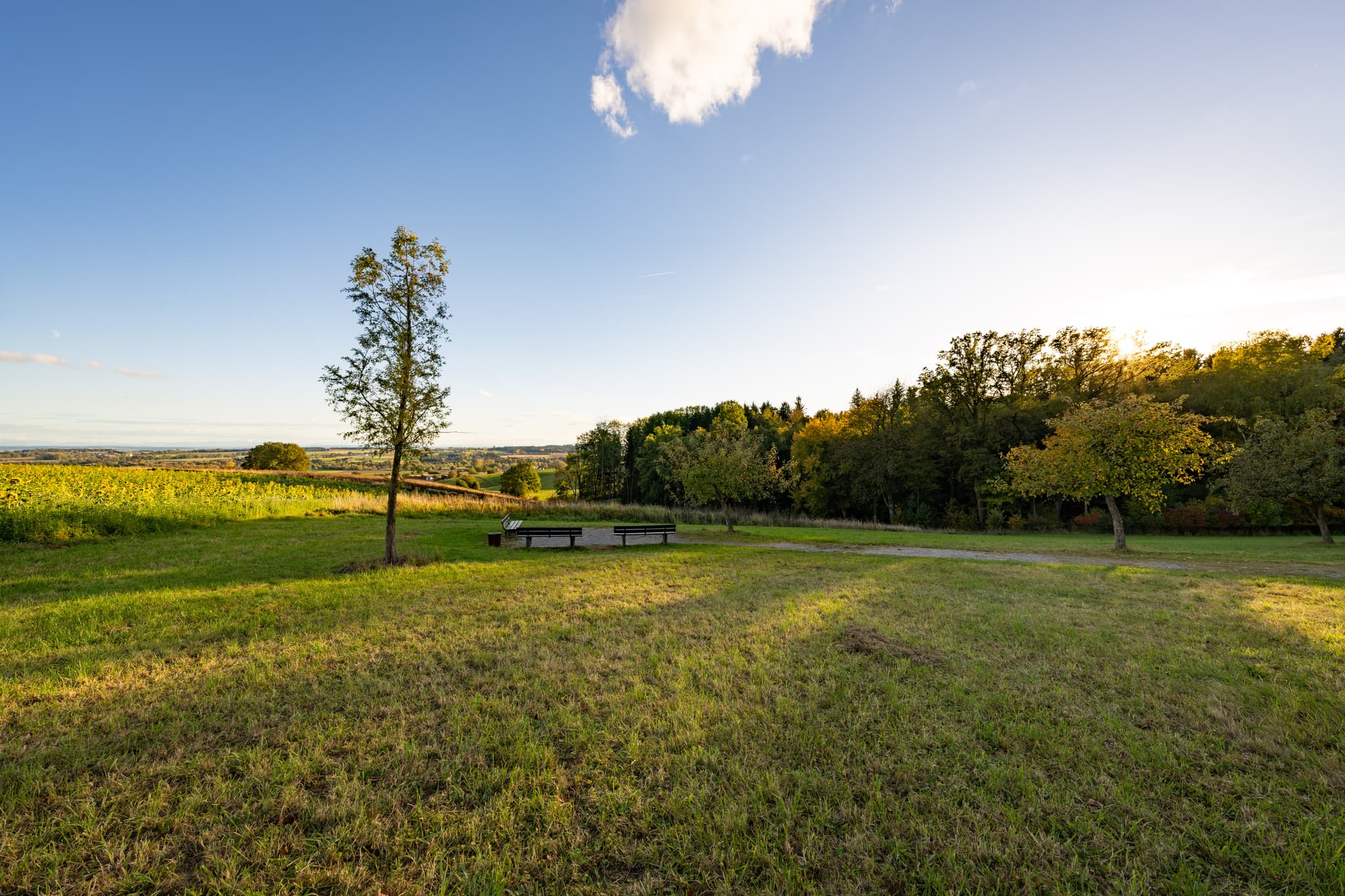 Idyllischer Kurpark in Bad Griesbach im Rottal, Landkreis Passau, Niederbayern. Malerische Landschaft im Herzen des Bäderdreiecks Deutschland.