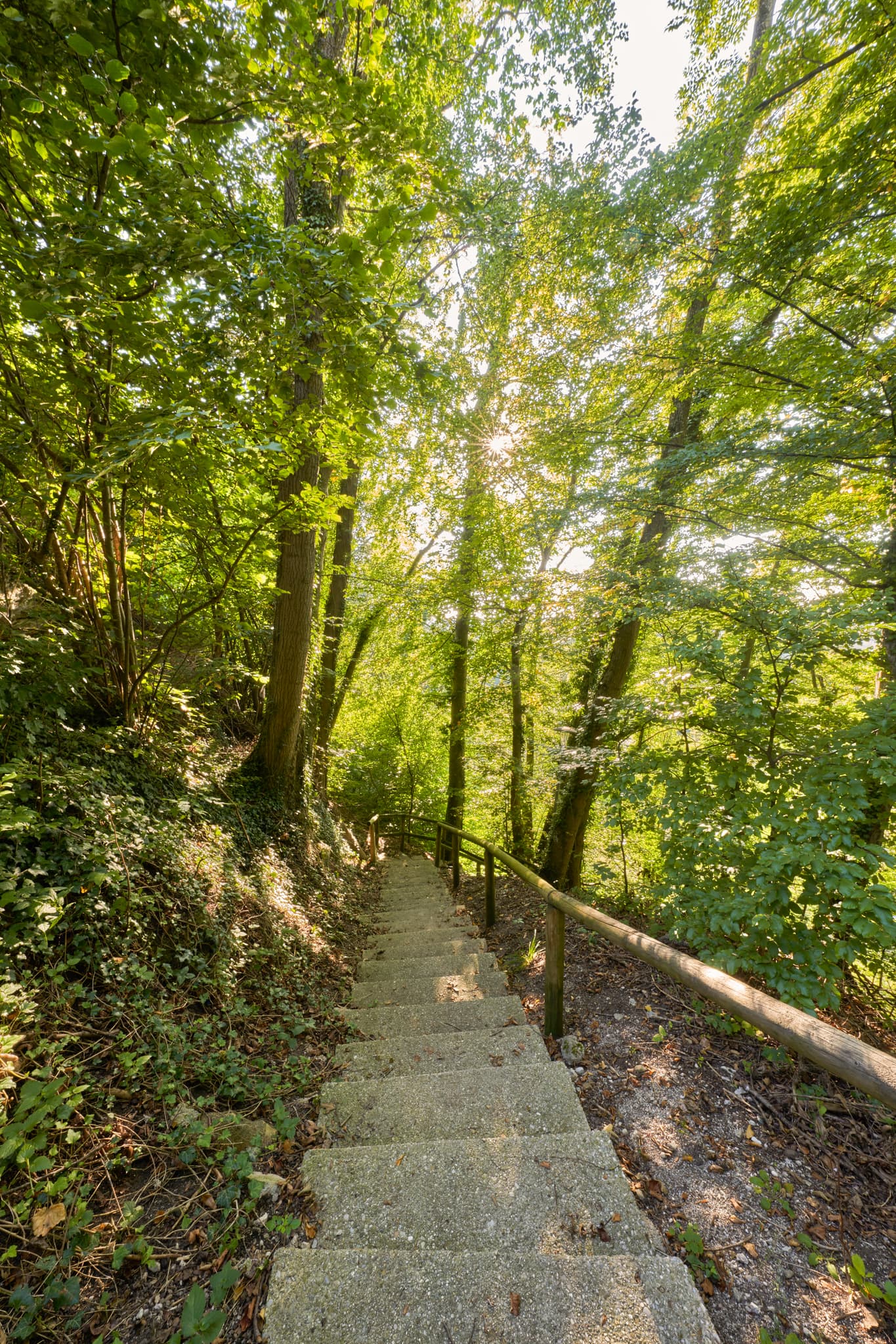 Margarethenberg, Burgkirchen, Landkreis Altötting, Oberbayern, Deutschland, Region Inn-Salzach. Steintreppen in einem lichten Wald, umgeben von üppigem Grün.