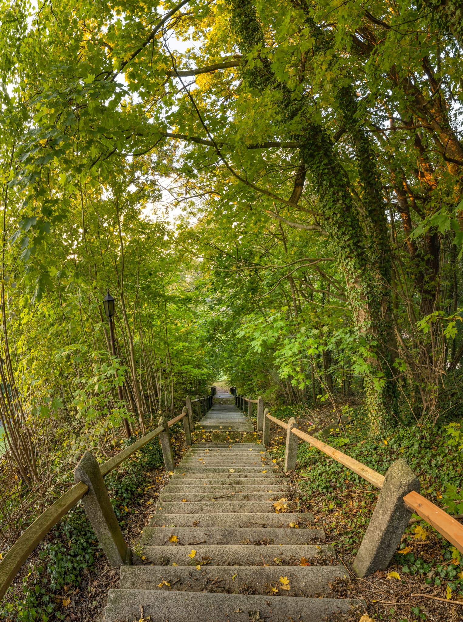 Treppenfußweg durch Wald in Burgkirchen am Wald, Altötting, Oberbayern. Typische grüne Landschaft der Inn-Salzach Region.